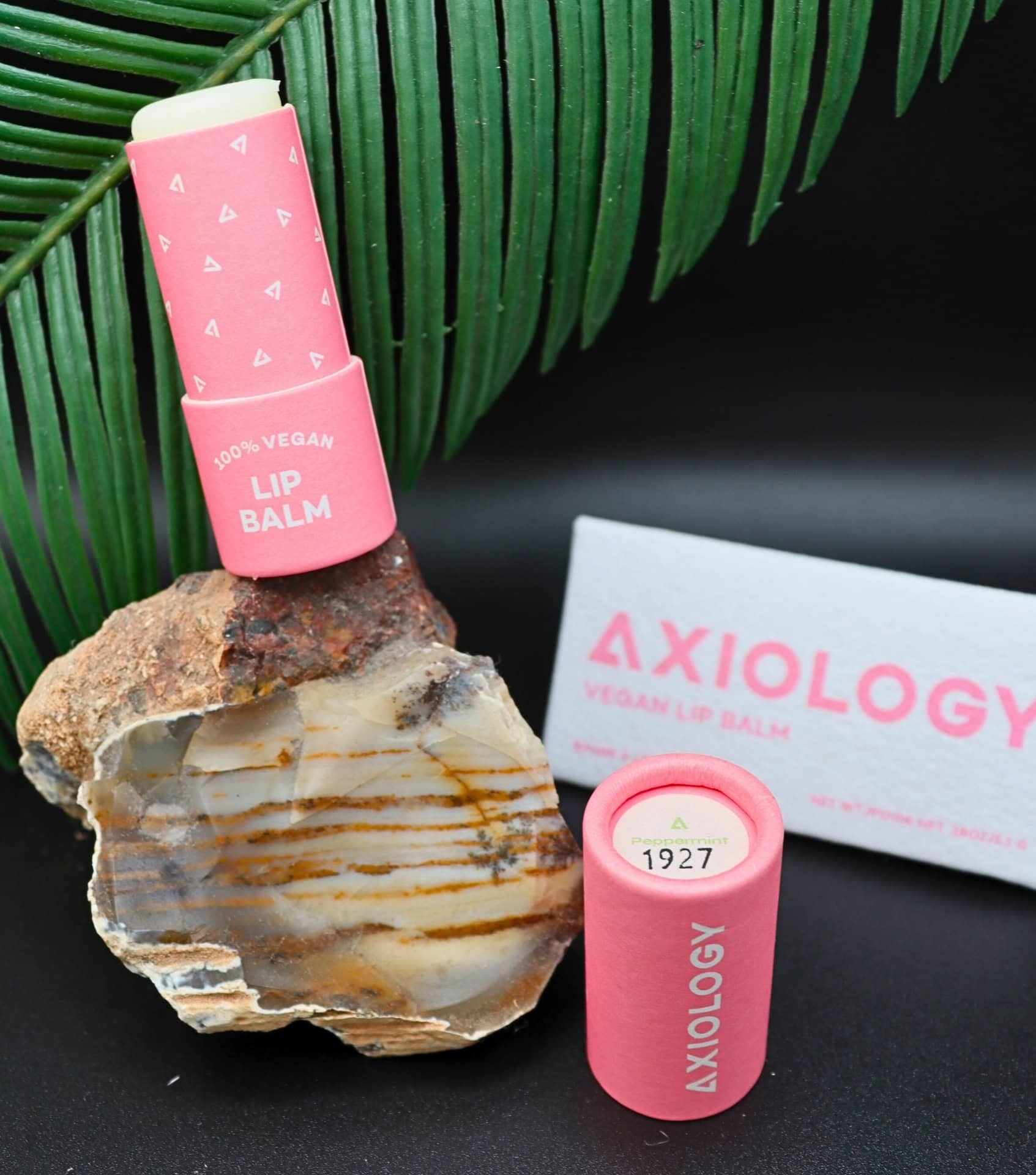 Image by Sustainable Jungle (Axiology) (sustainable-black-friday)