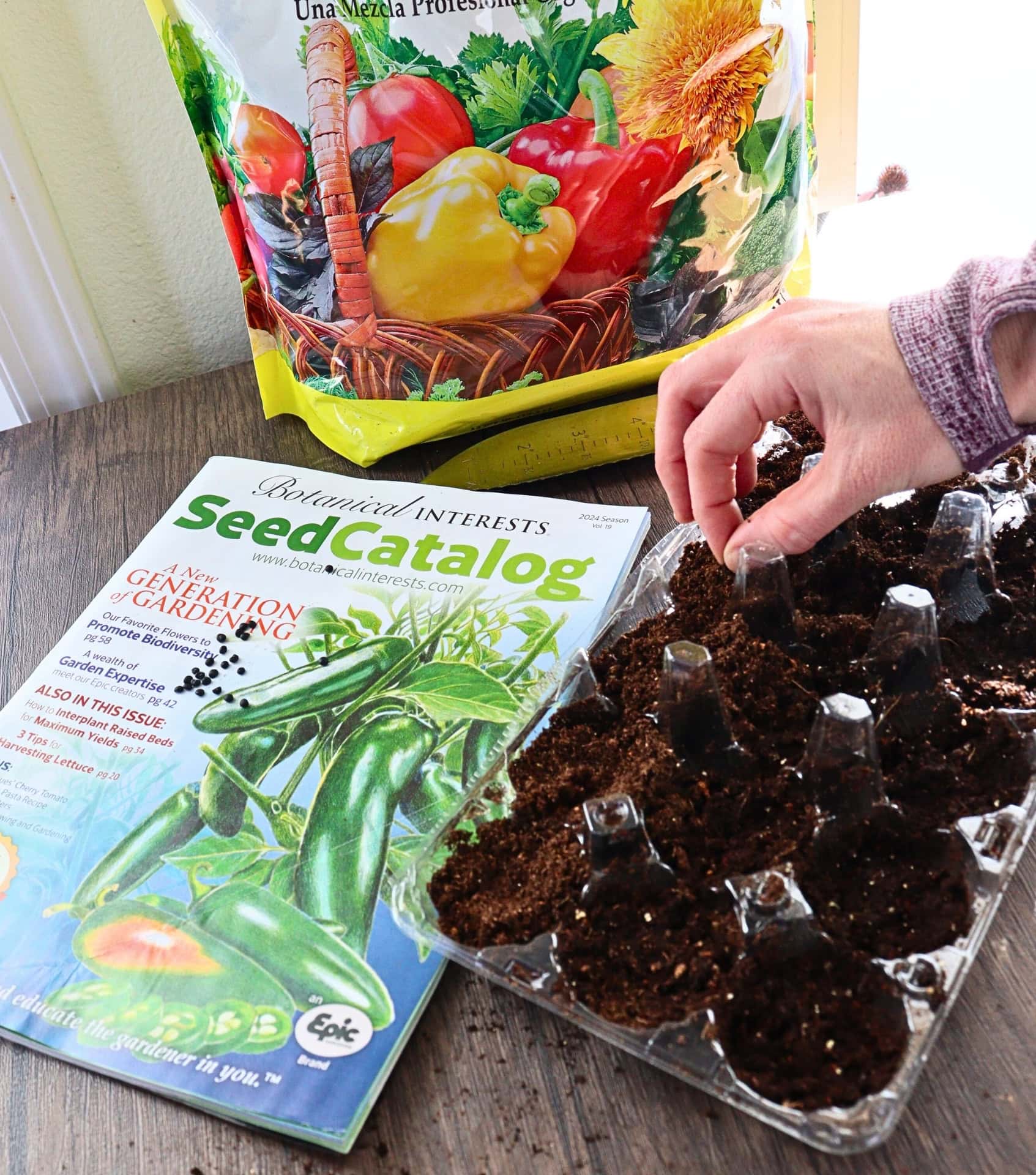 Image by Sustainable Jungle (Botanical Interests) (sustainable-seed-company)