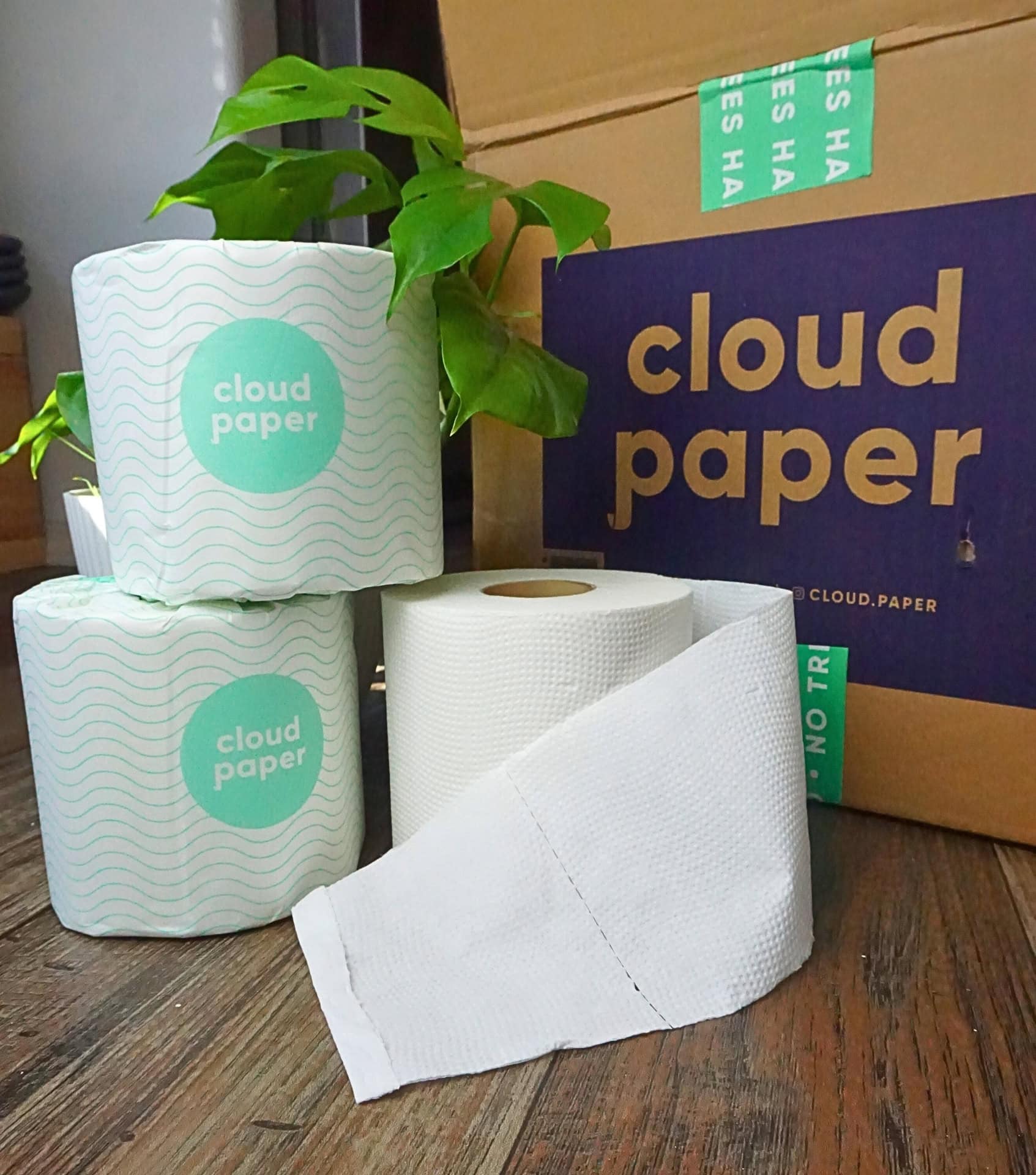 Image by Sustainable Jungle (Cloud Paper) (eco-friendly-bathroom-products)