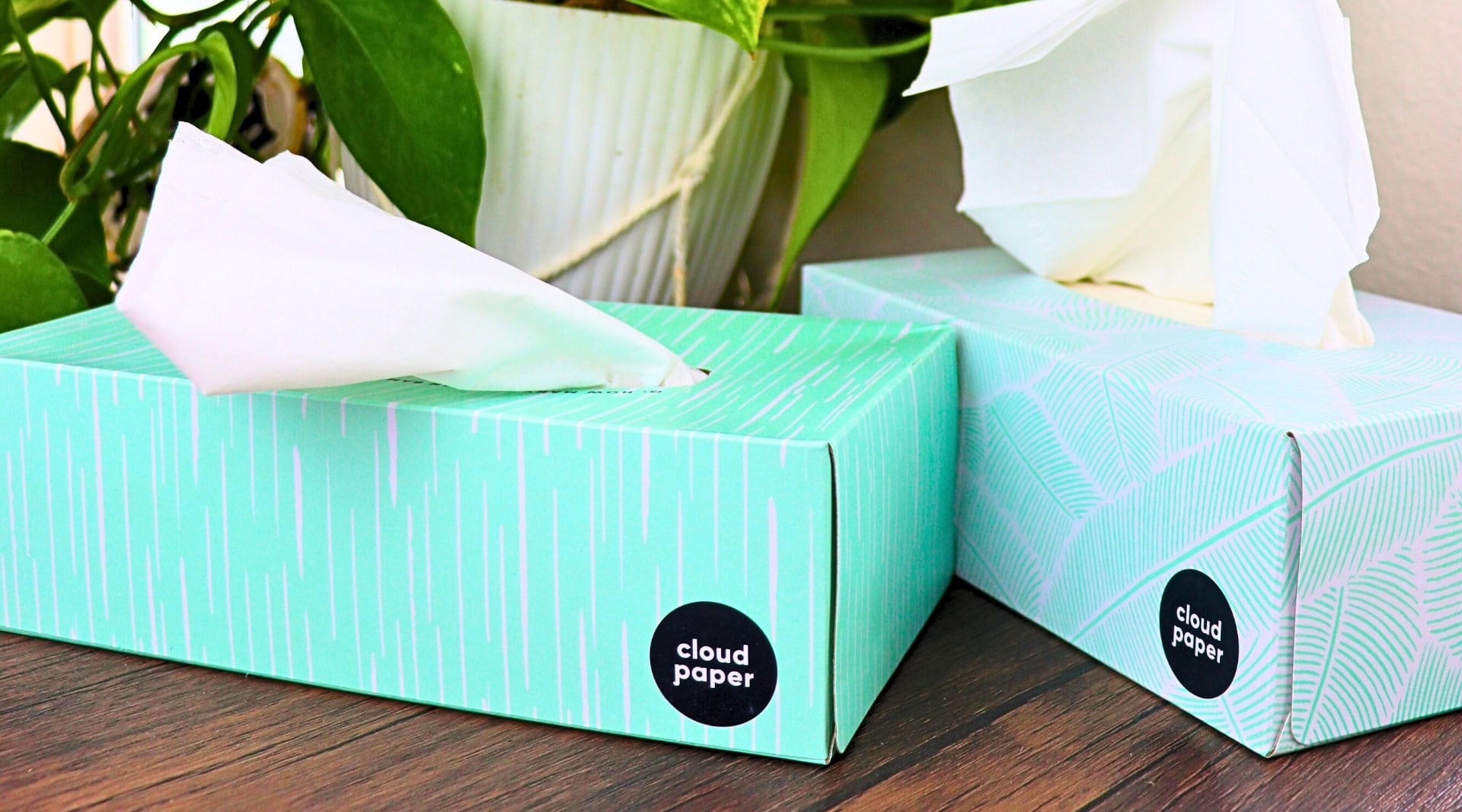 Image by Sustainable Jungle (Cloud Paper) (eco-friendly-tissues)