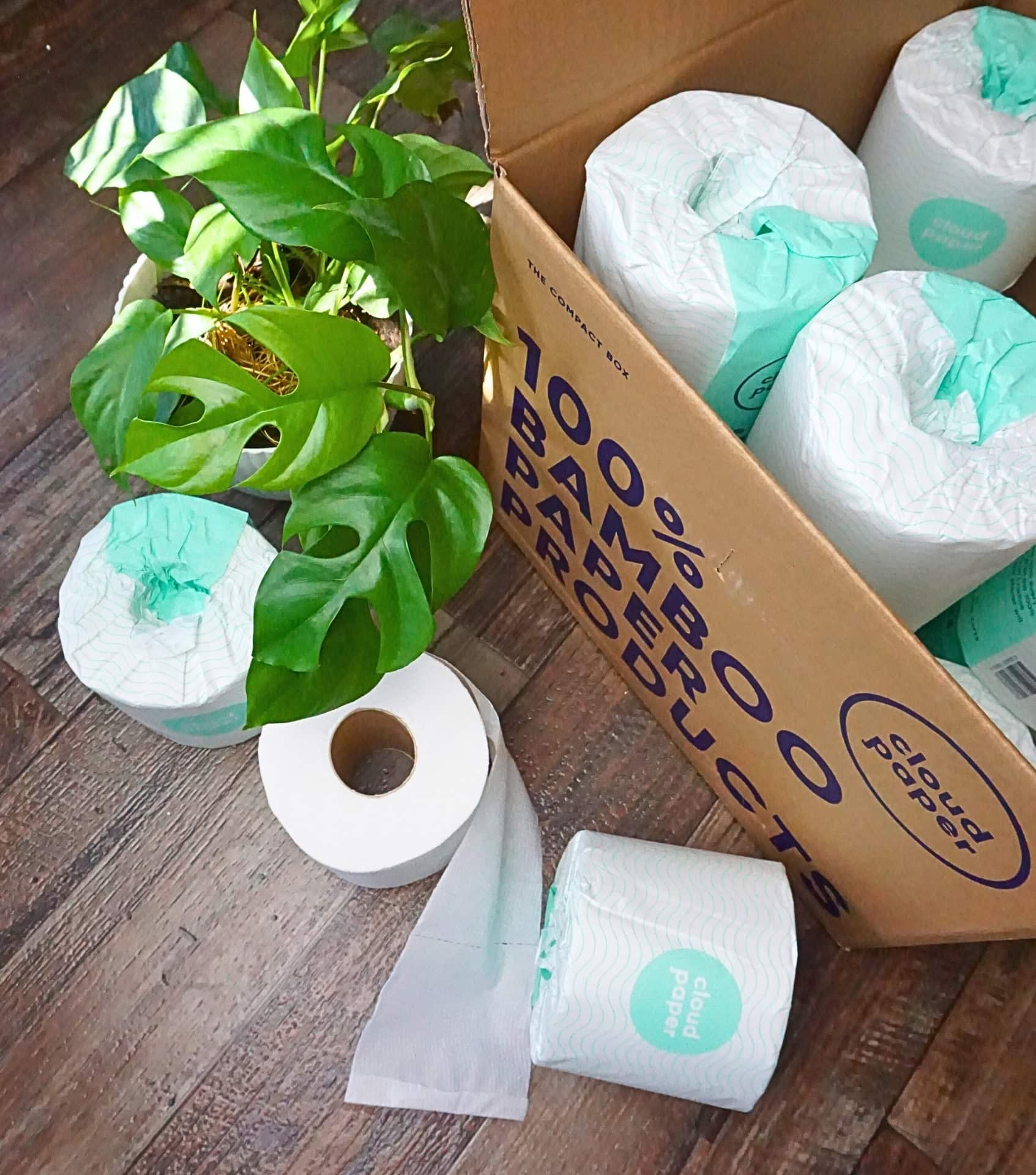 Image by Sustainable Jungle (Cloud Paper) (eco-friendly-toilet-paper)