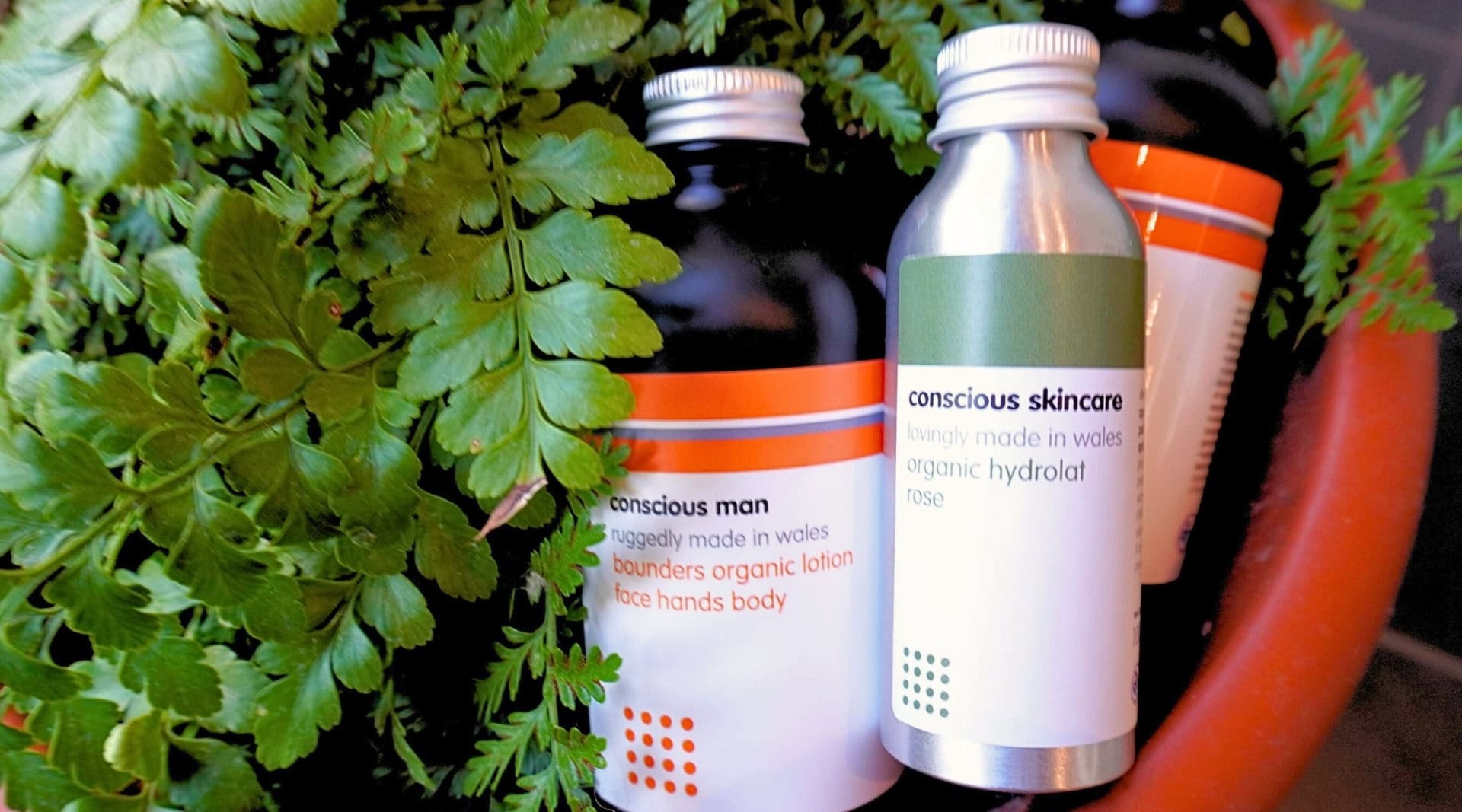 Image by Sustainable Jungle (Conscious Skincare) (natural-toners)