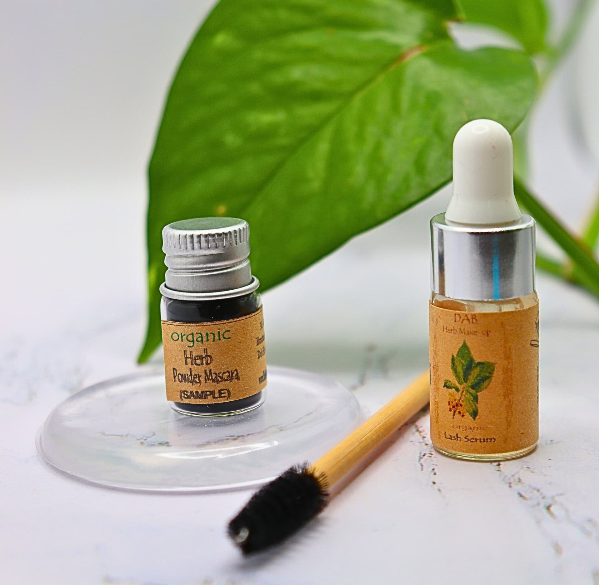 Image by Sustainable Jungle (Dab Herb) (natural-organic-makeup)
