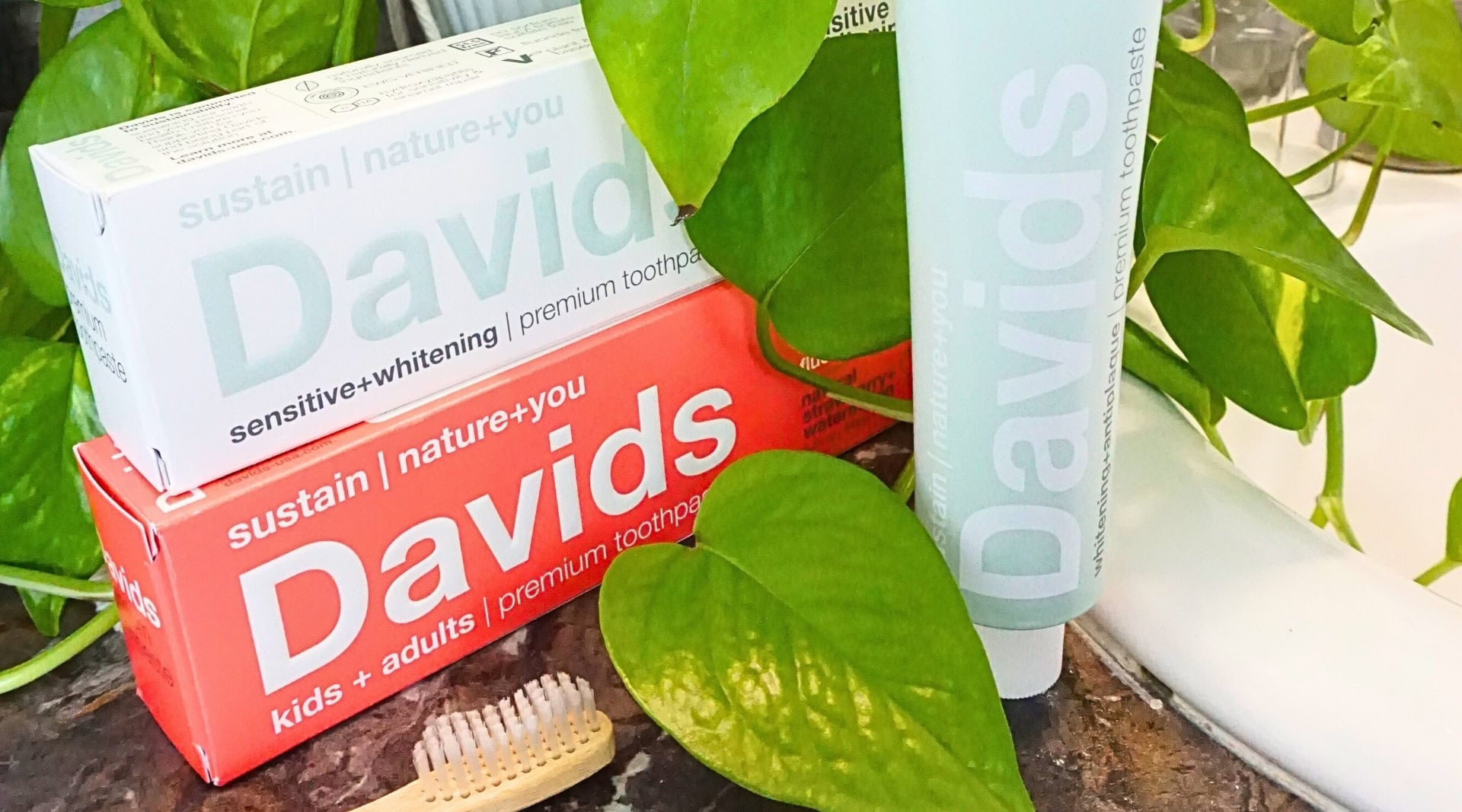 Image by Sustainable Jungle (Davids) (sustainable-dental-products)