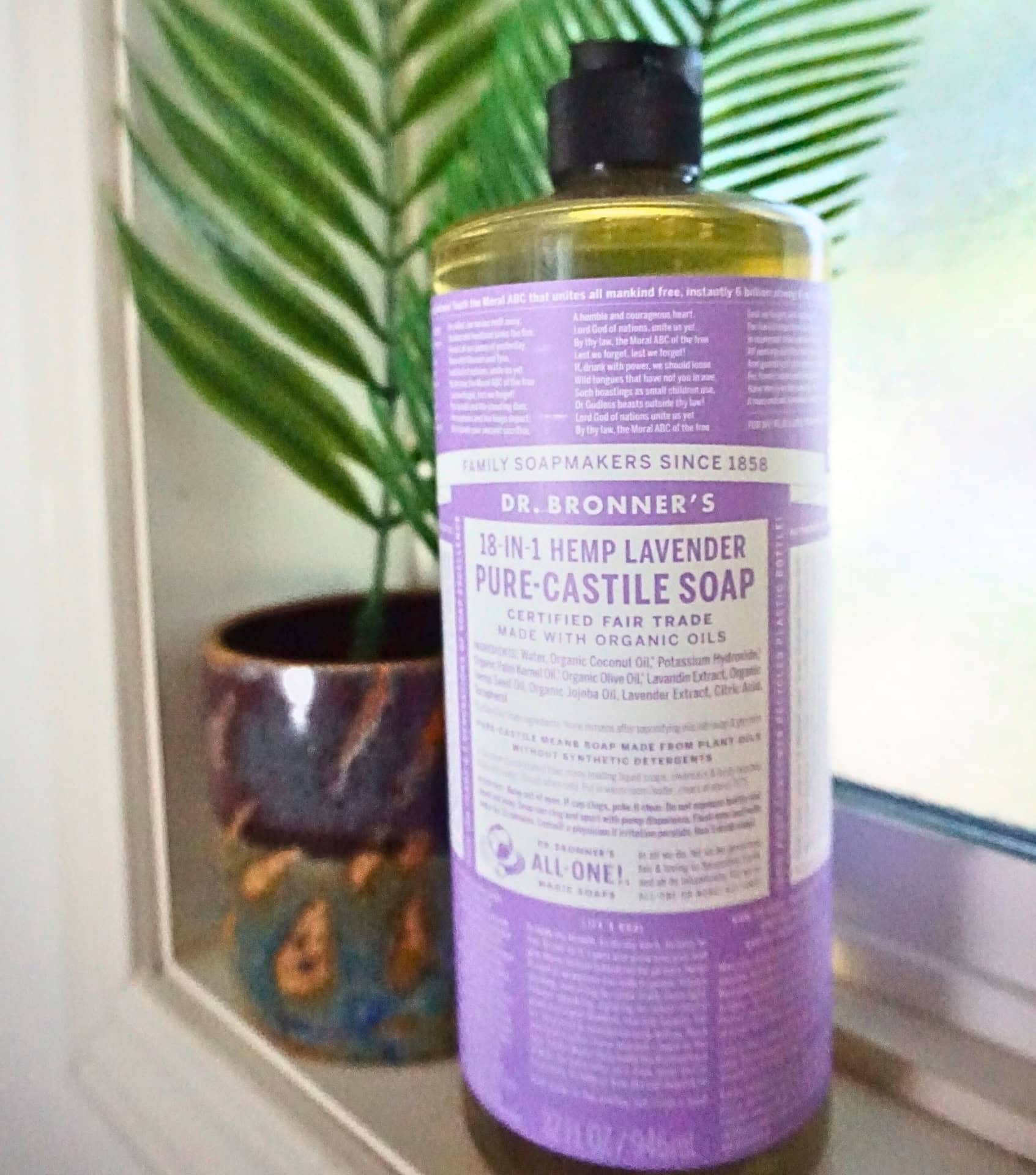 Image by Sustainable Jungle (Dr. Bronner’s) (eco-friendly-camping-gear) (2)
