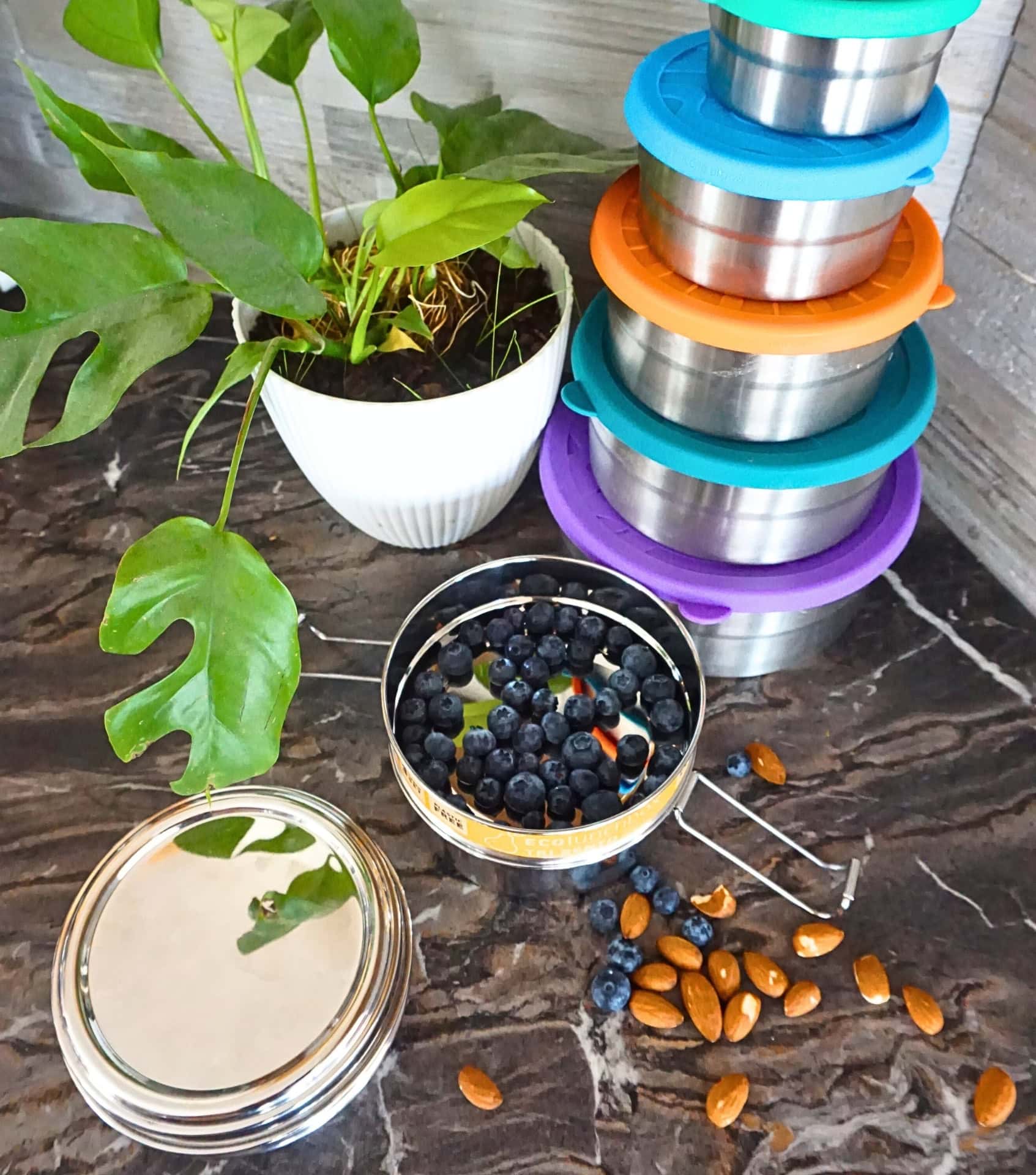 Image by Sustainable Jungle (ECOlunchbox) (alternatives-to-ziploc-bags) (2)