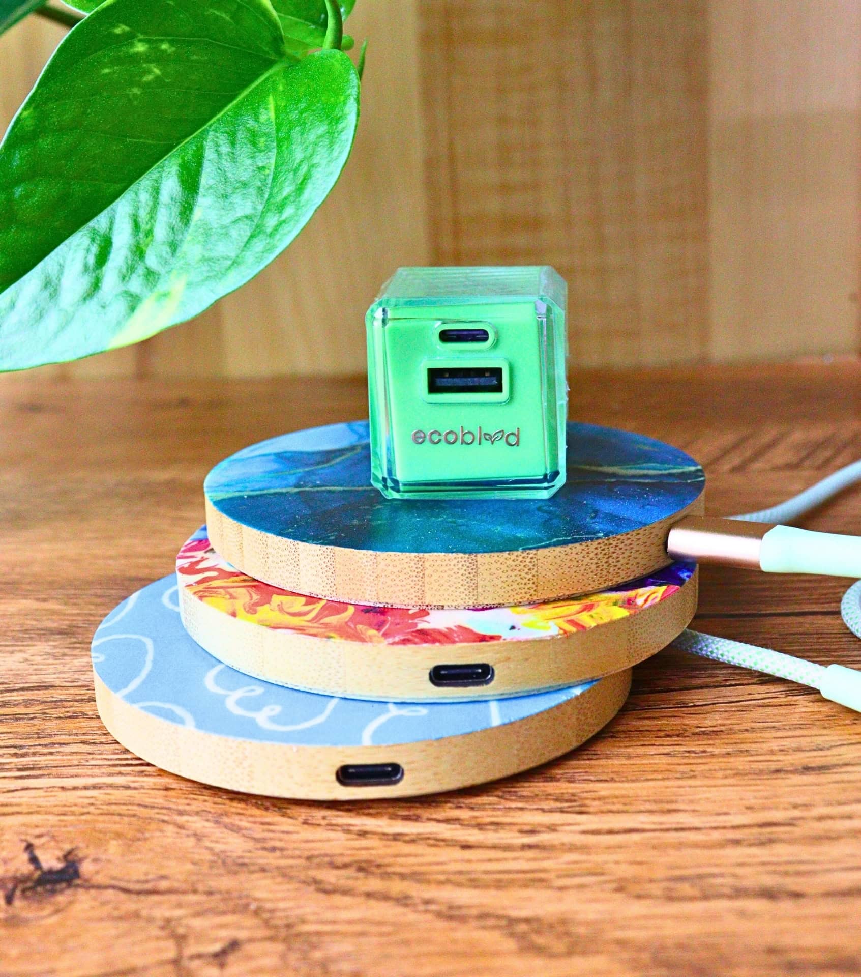Image by Sustainable Jungle (EcoBlvd) (eco-friendly-chargers)