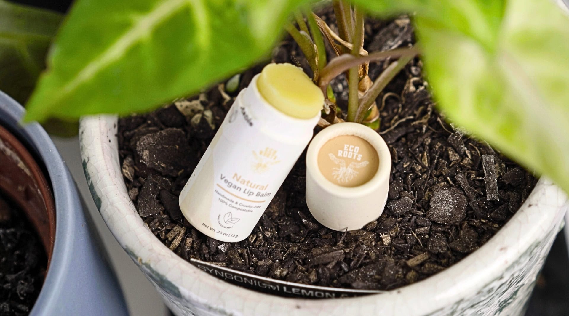 Image by Sustainable Jungle (EcoRoots) (natural-lip-balms)