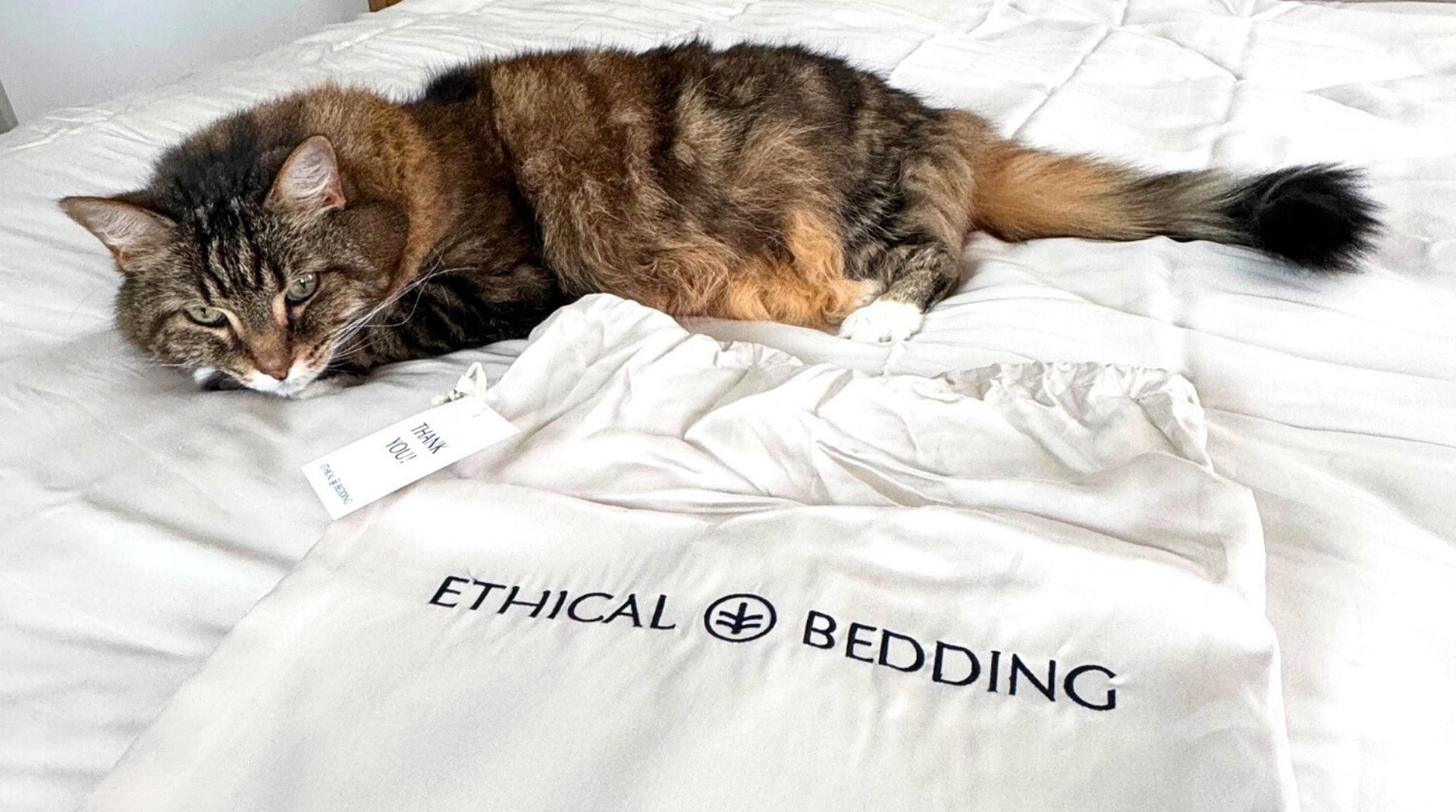 Image by Sustainable Jungle (Ethical Bedding) (organic-mattress-protectors)