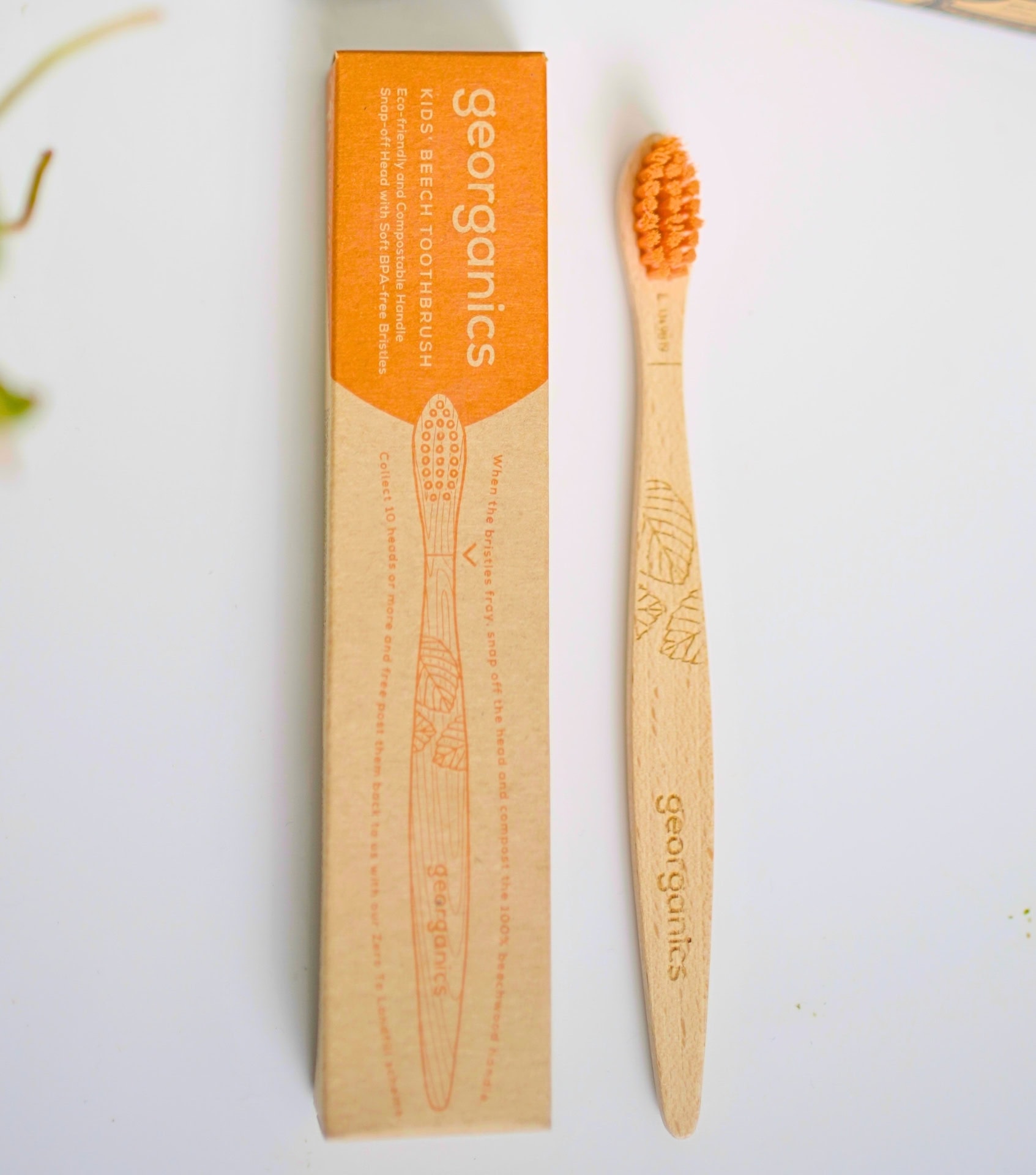 Image by Sustainable Jungle (Georganics) (sustainable-toothbrushes)