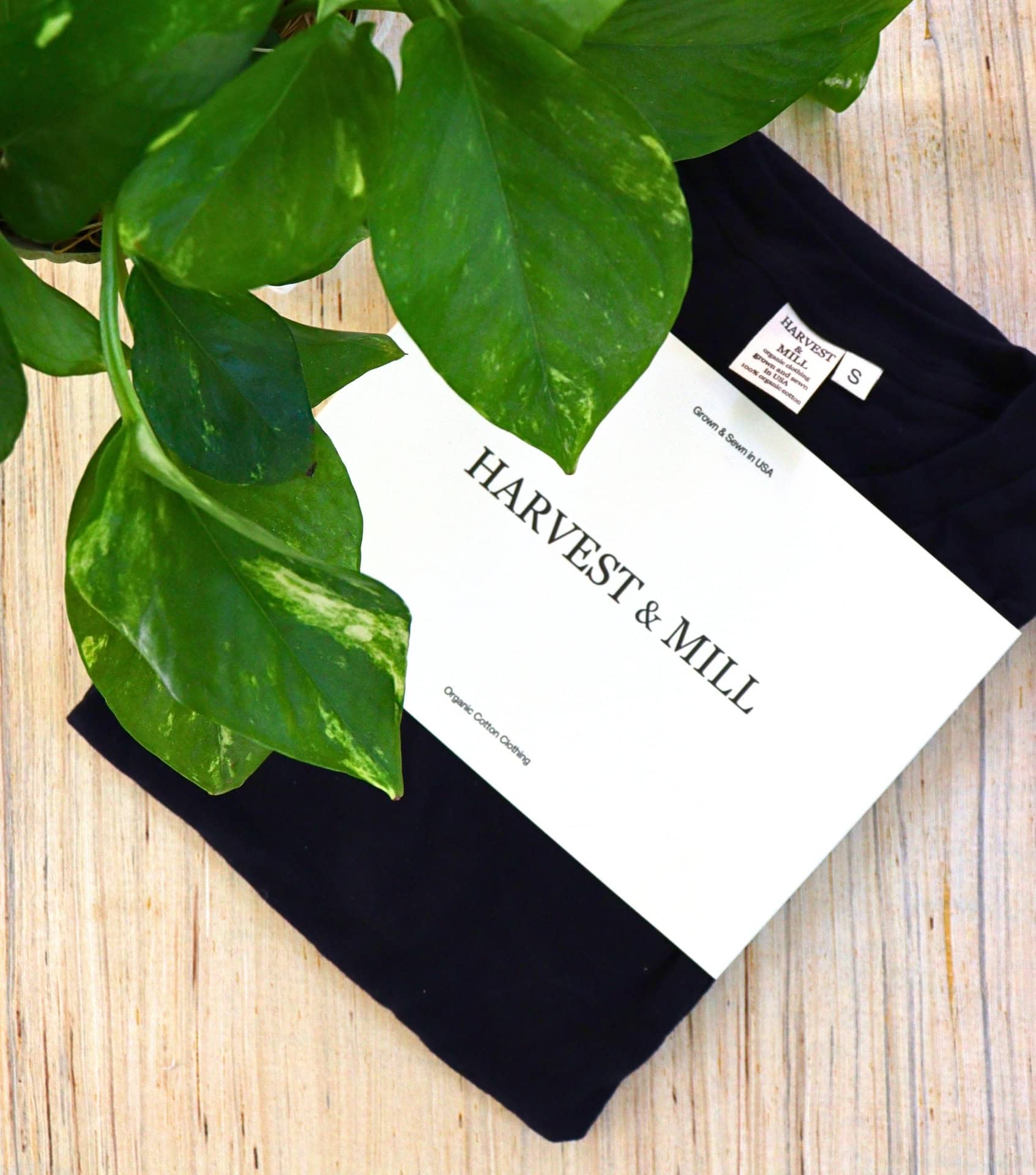 Image by Sustainable Jungle (Harvest & Mill) (sustainable-basics) (2)