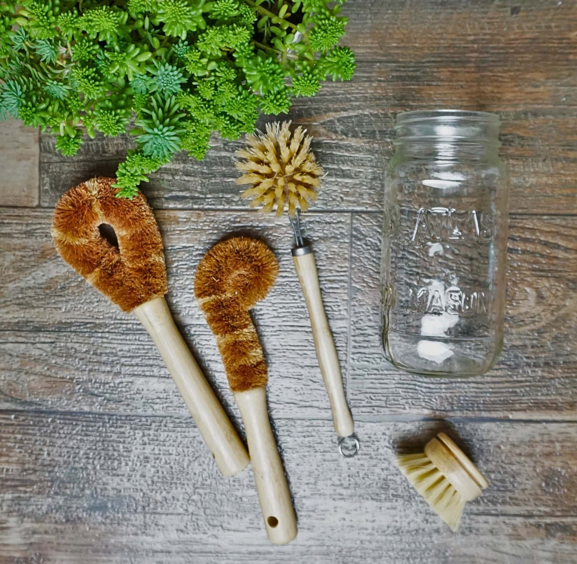 Image by Sustainable Jungle (Jungle Culture) (eco-friendly-cleaning-products)