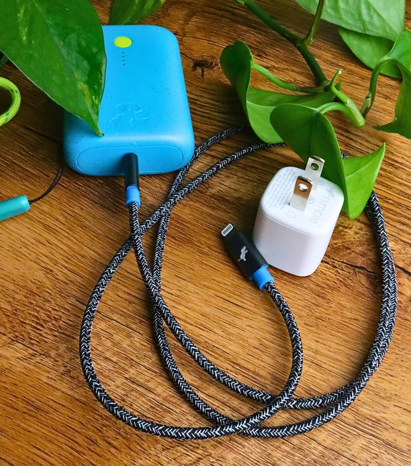 Image by Sustainable Jungle (Nimble) (eco-friendly-chargers) (3)