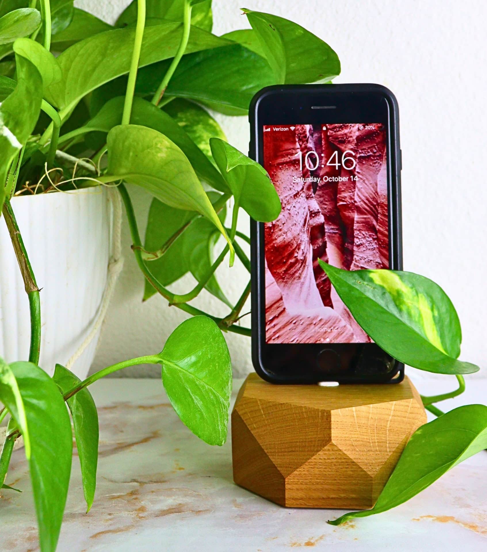 Image by Sustainable Jungle (Oakywood) (eco-friendly-chargers) (2)