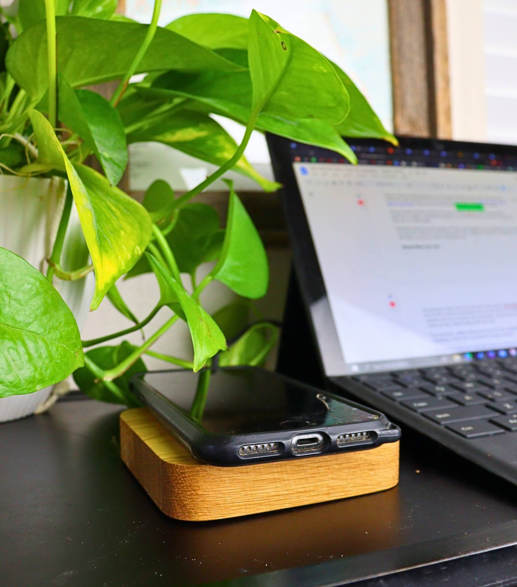 Image by Sustainable Jungle (Oakywood) (eco-friendly-chargers)