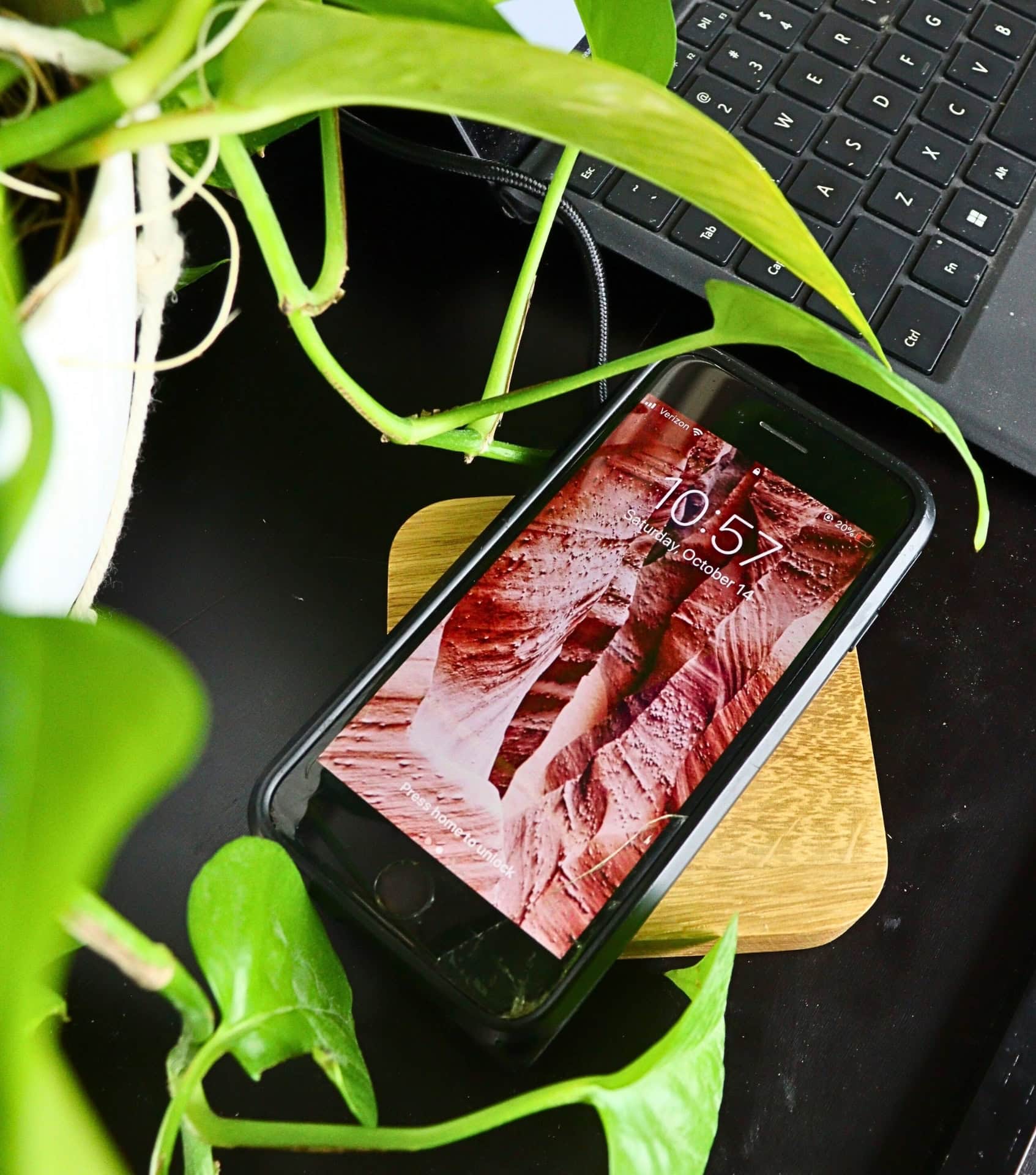 Image by Sustainable Jungle (Oakywood) (sustainable-gadgets) (2)
