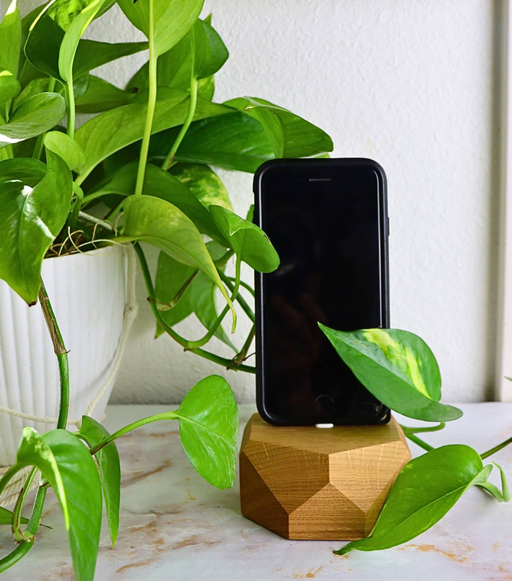 Image by Sustainable Jungle (Oakywood) (sustainable-gadgets)