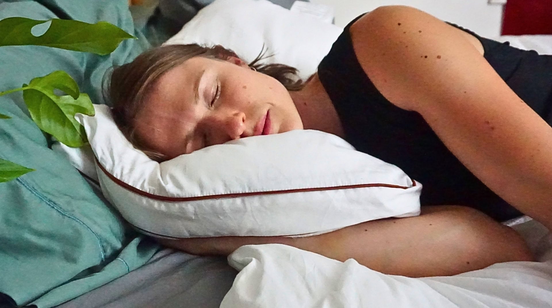 Image by Sustainable Jungle (Saatva) (organic-non-toxic-pillows)