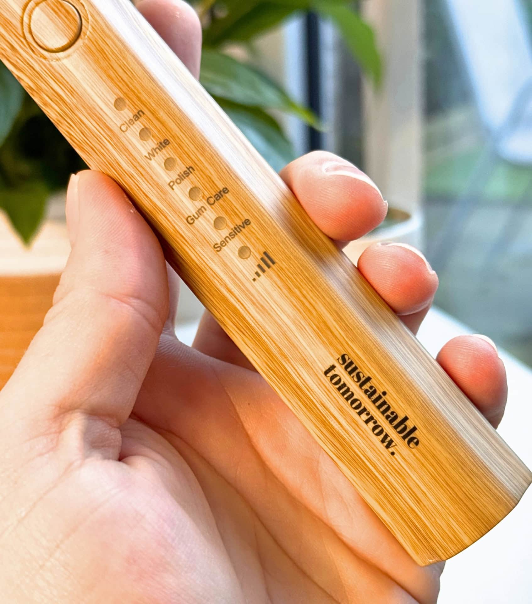 Image by Sustainable Jungle (Sustainable Tomorrow) (bamboo-electric-toothbrush)