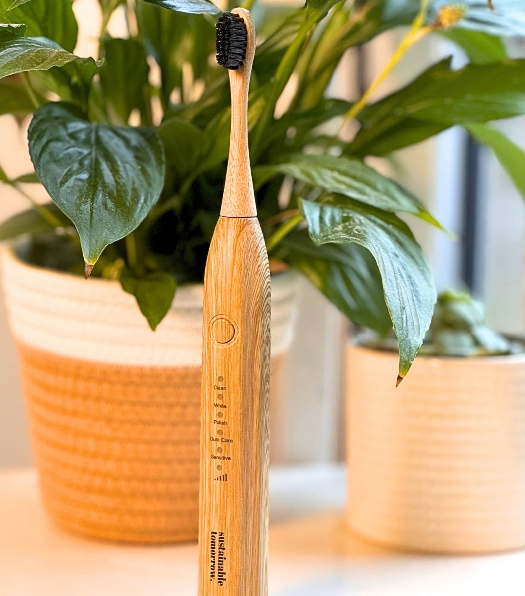 Image by Sustainable Jungle (Sustainable Tomorrow) (bamboo-electric-toothbrush) (2)