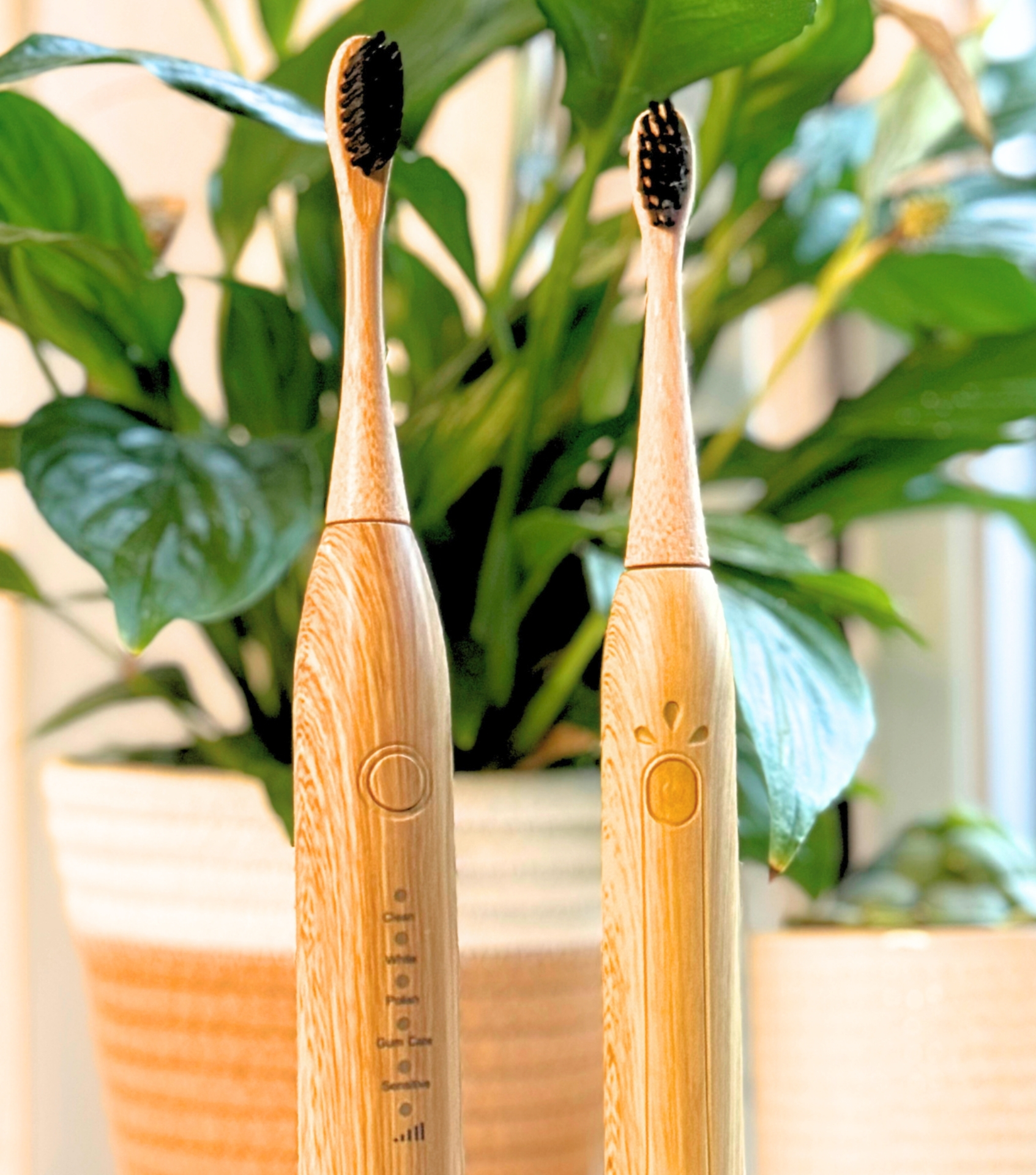 Image by Sustainable Jungle (Sustainable Tomorrow) (sustainable-toothbrushes)