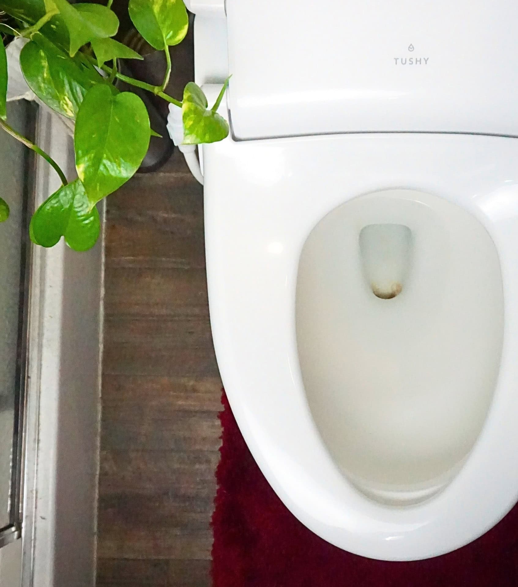 Image by Sustainable Jungle (Tushy) (eco-friendly-toilet-paper) (2)