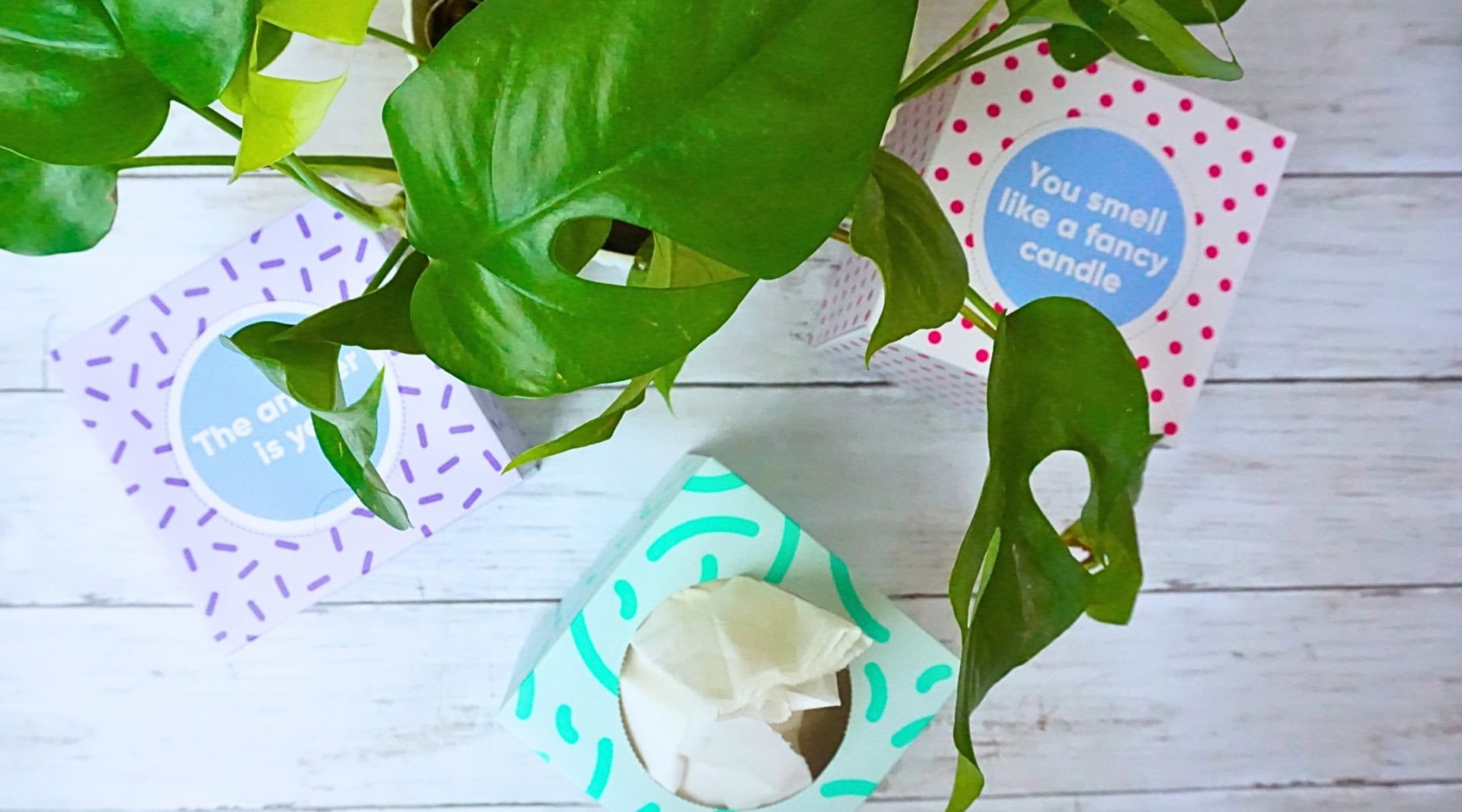 Image by Sustainable Jungle (Who Gives A Crap) (eco-friendly-tissues)