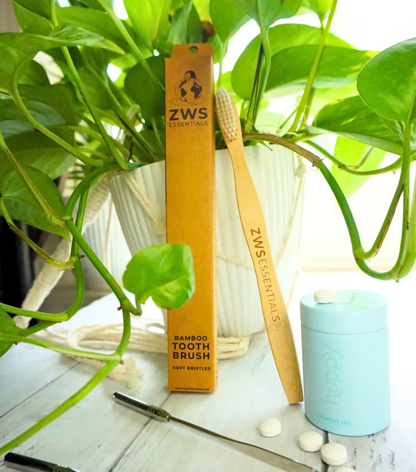 Image by Sustainable Jungle (ZWS Essentials) (sustainable-toothbrushes) (2)