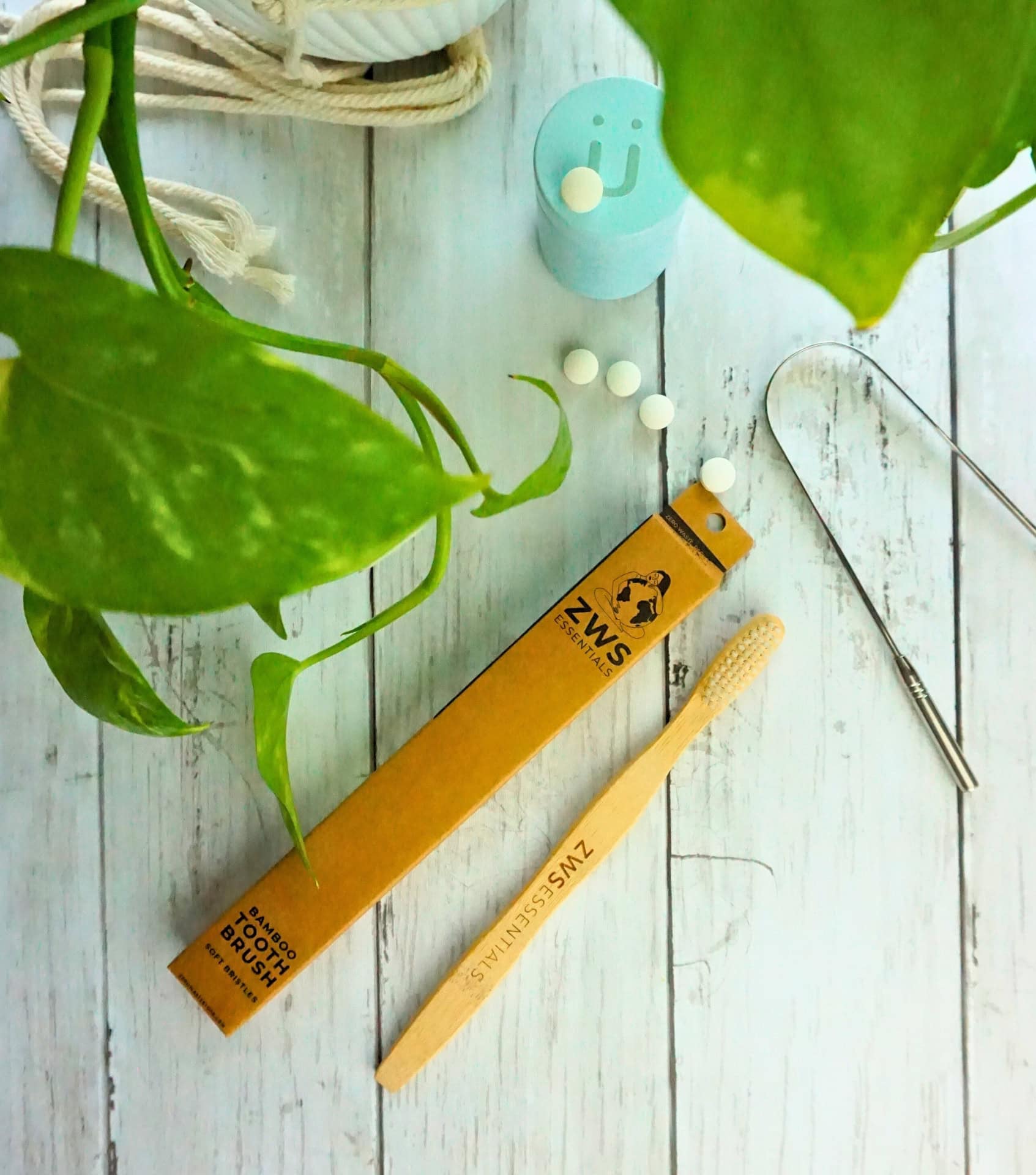 Image by Sustainable Jungle (ZWS Essentials) (sustainable-toothbrushes)