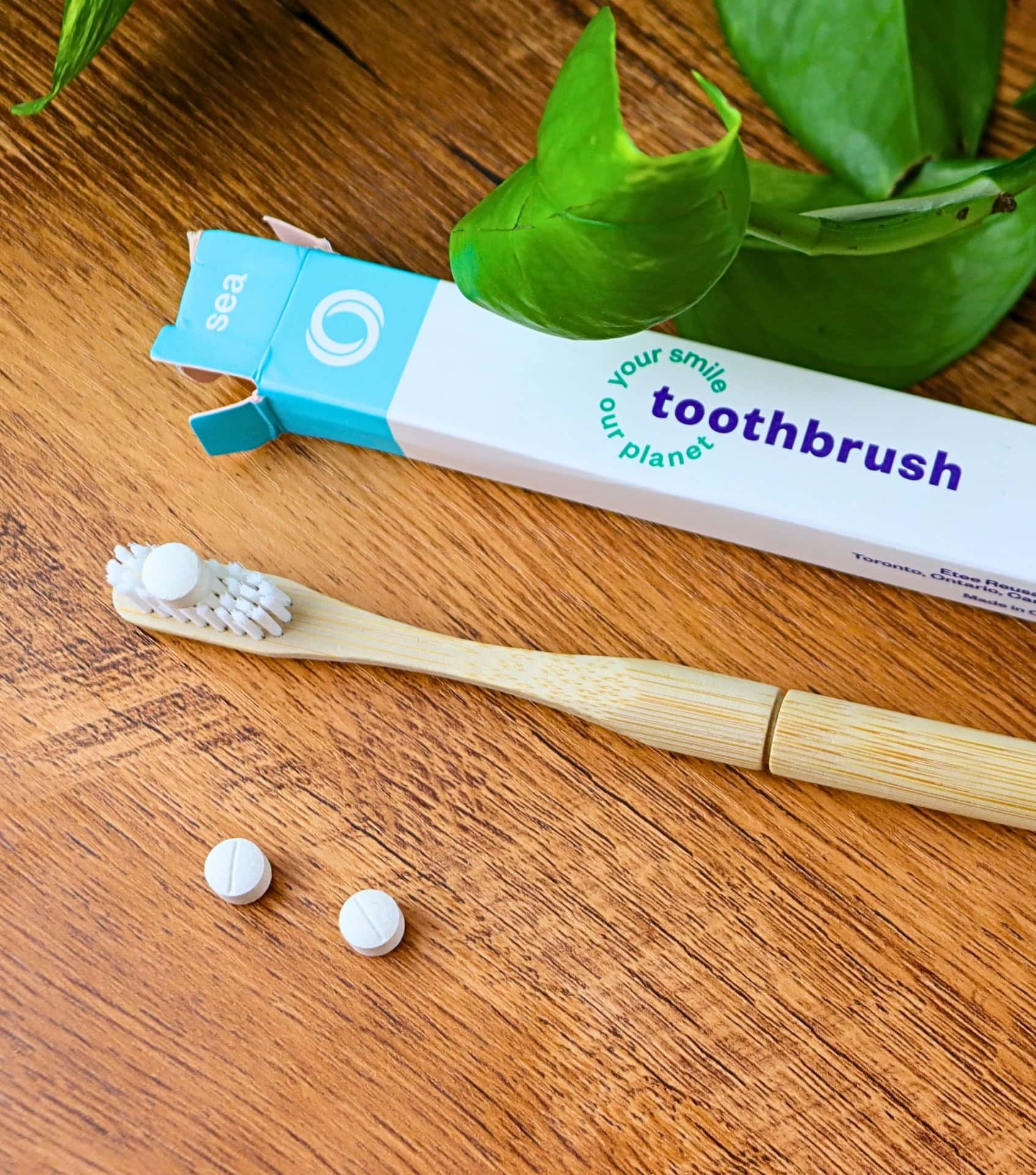 Image by Sustainable Jungle (etee) (sustainable-toothbrushes)