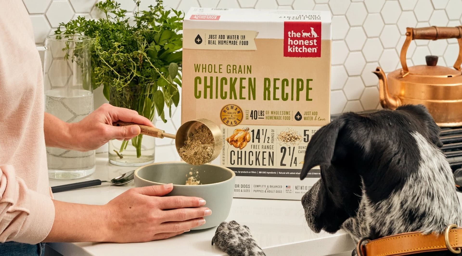 Image by The Honest Kitchen (sustainable-dog-food)