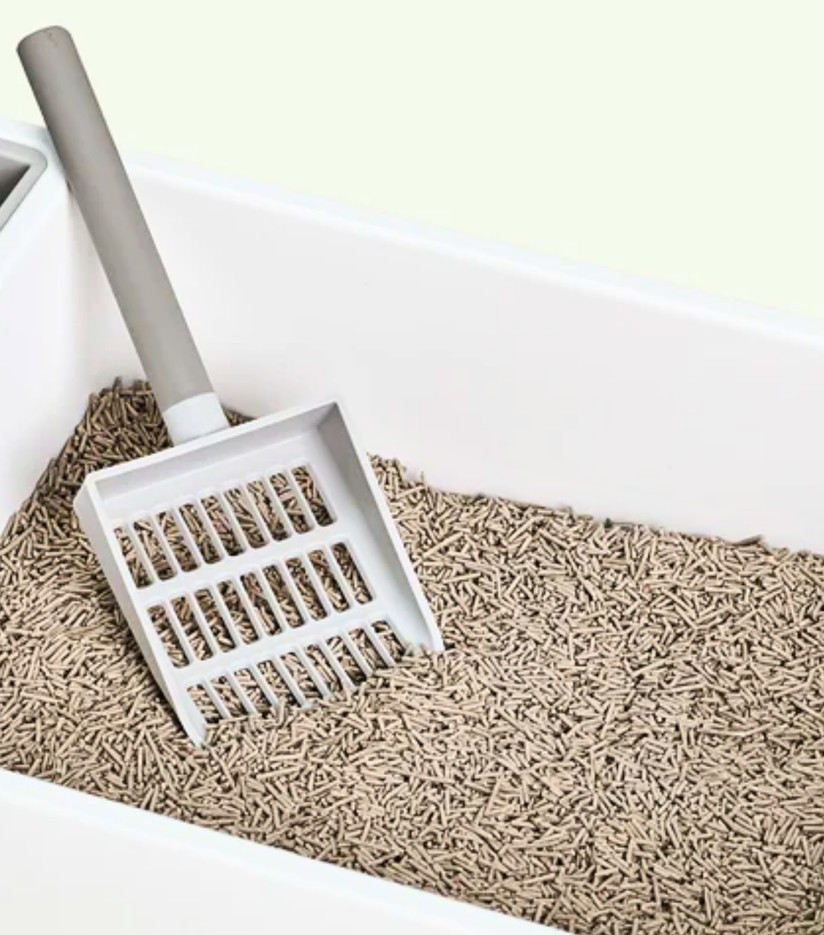 Image by Tuft + Paw (eco-friendly-cat-litter)