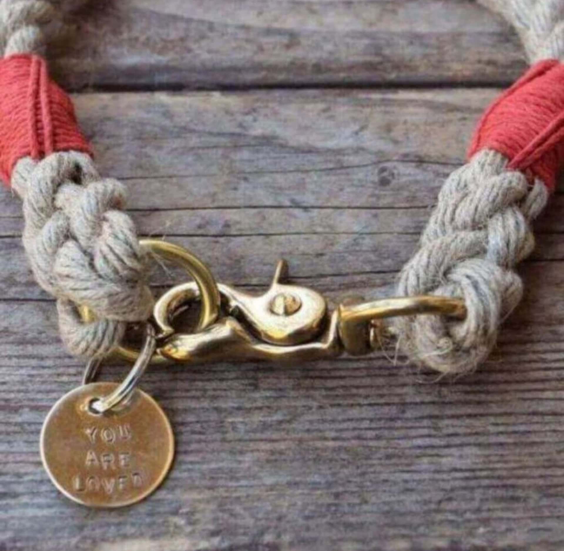 Image by Wiggly Woos (sustainable-dog-collars)
