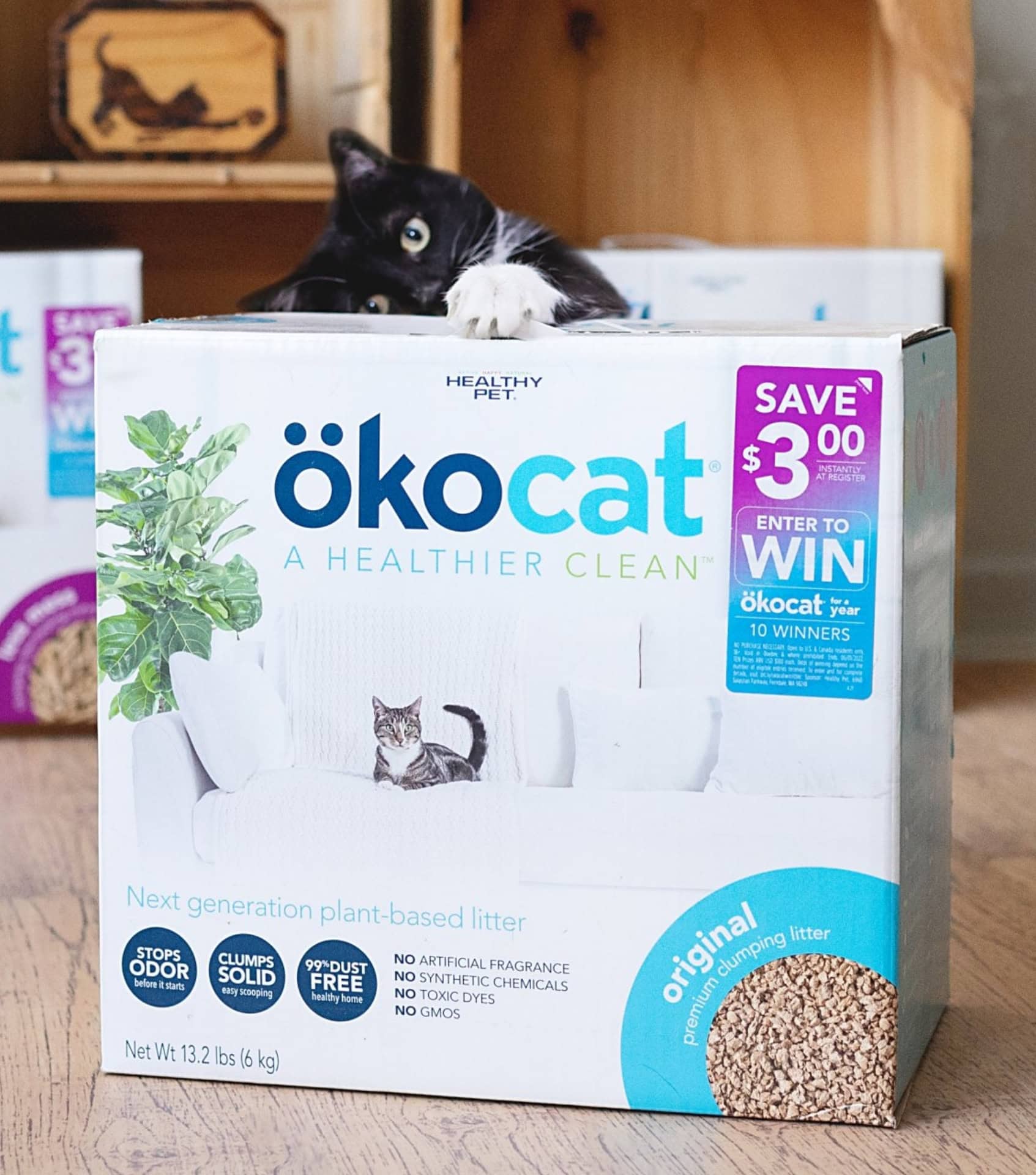 Image by ökocat (eco-friendly-cat-litter) (2)