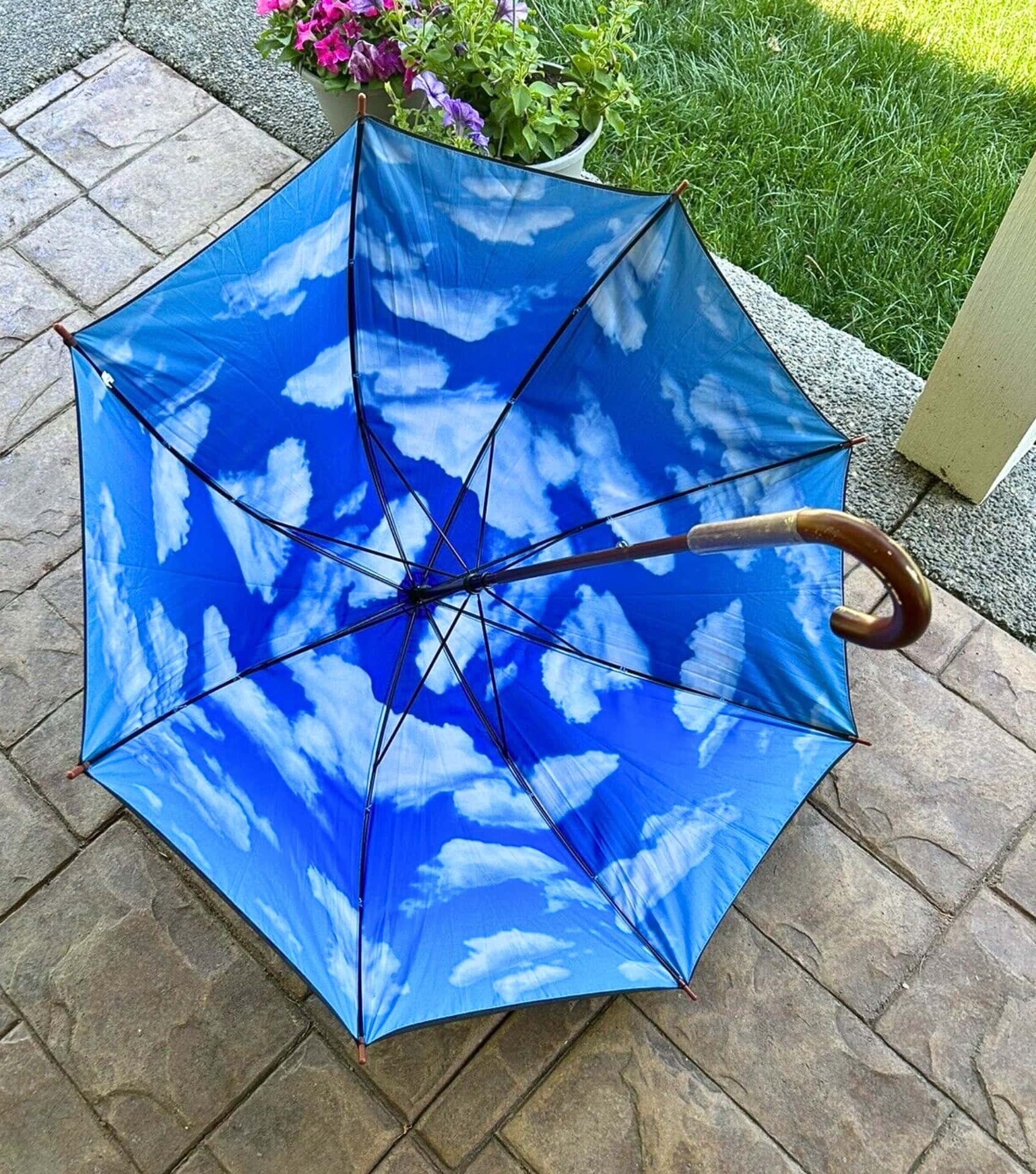 Image by rdthree2 (eco-friendly-umbrellas)