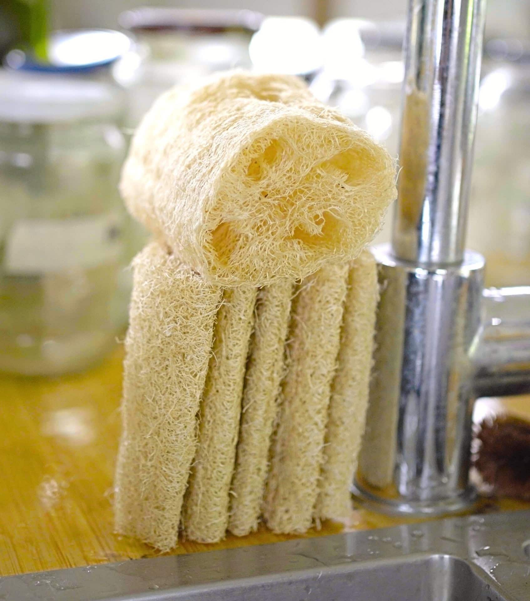 Image by zerowastestore.com (eco-friendly-loofahs) (2)