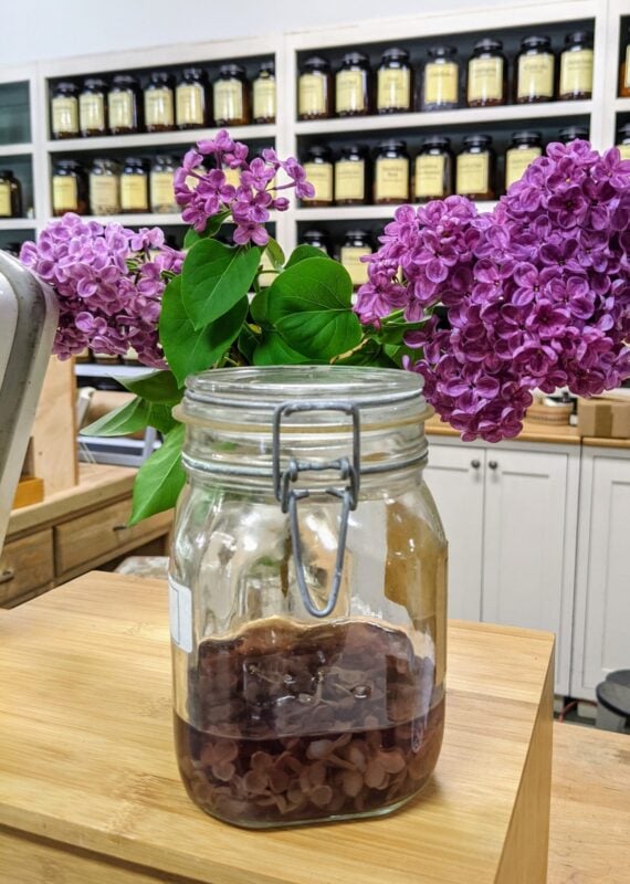 Image by Dandelion Botanical (zero-waste-stores-seattle)