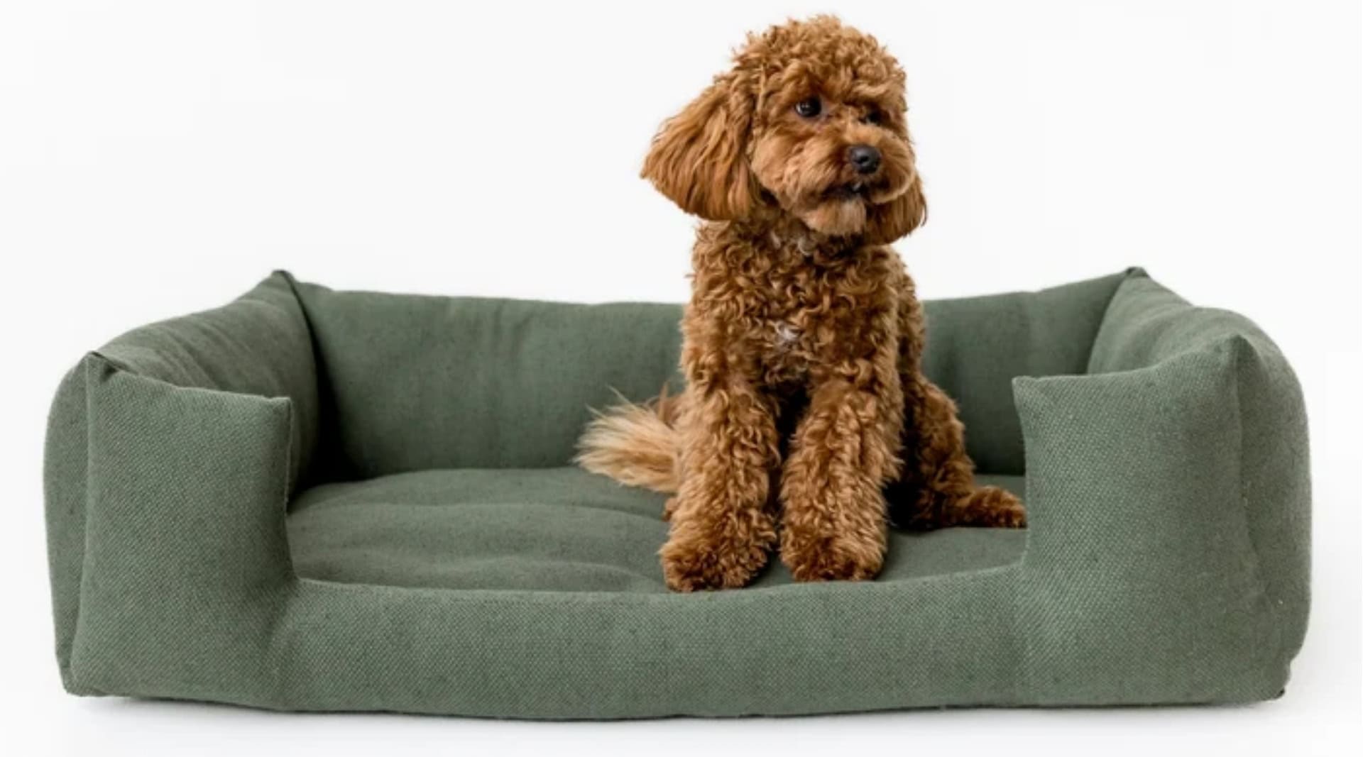 Image by Hemp Organic Life (eco-friendly-dog-beds)