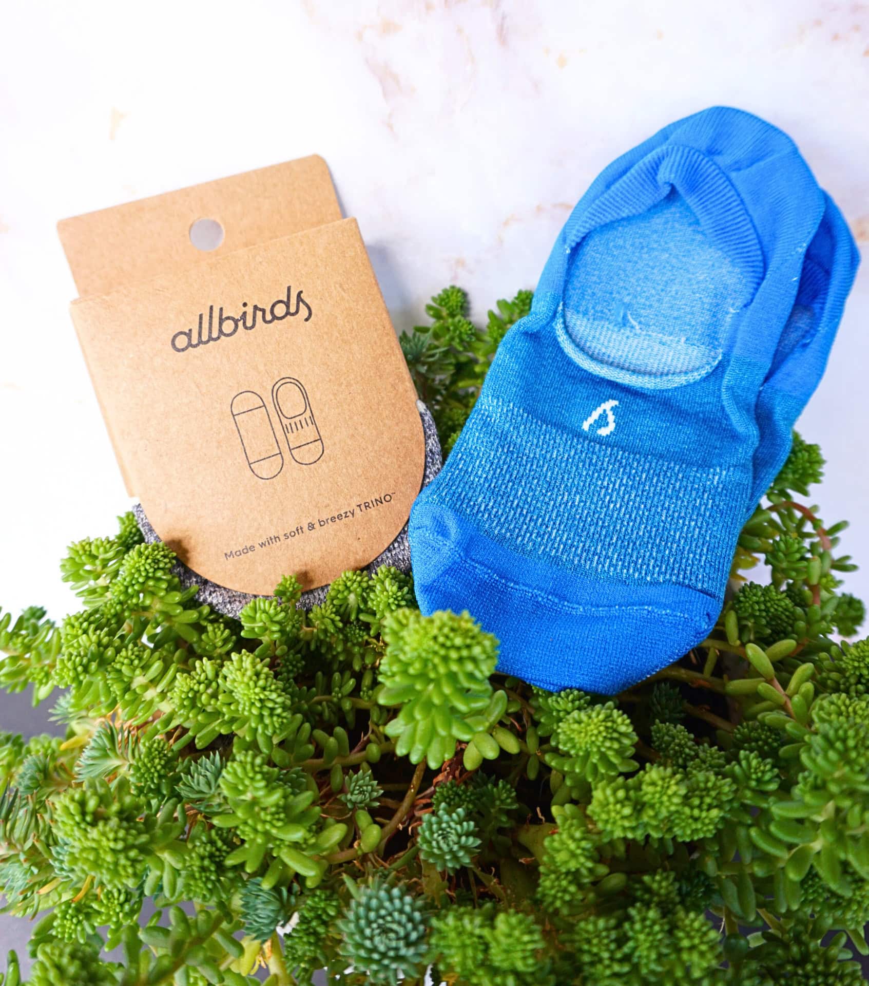 Image by Sustainable Jungle (Allbirds) (minimalist-gifts-for-him)