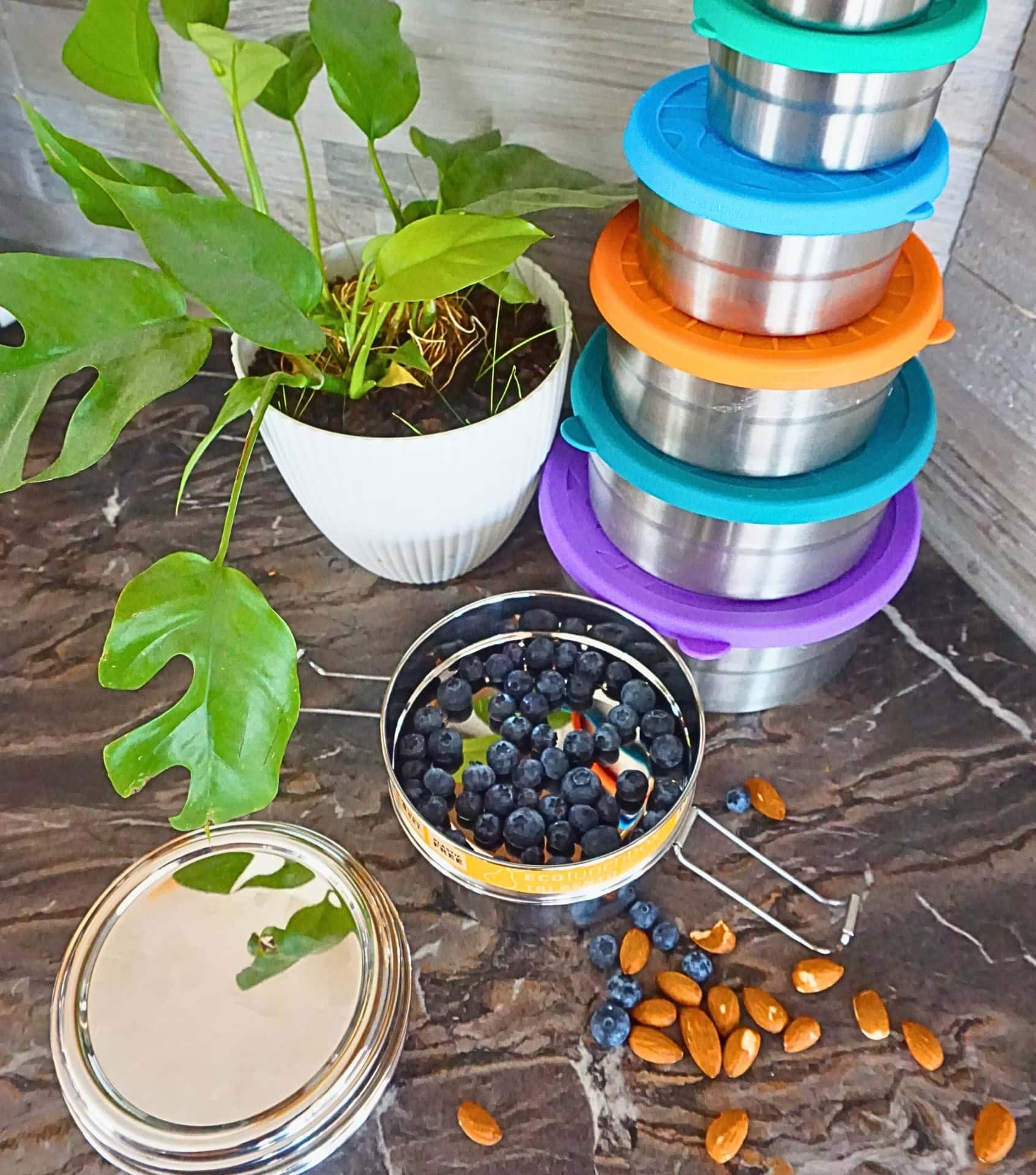 Image by Sustainable Jungle (ECOlunchbox) (gifts-for-minimalists)