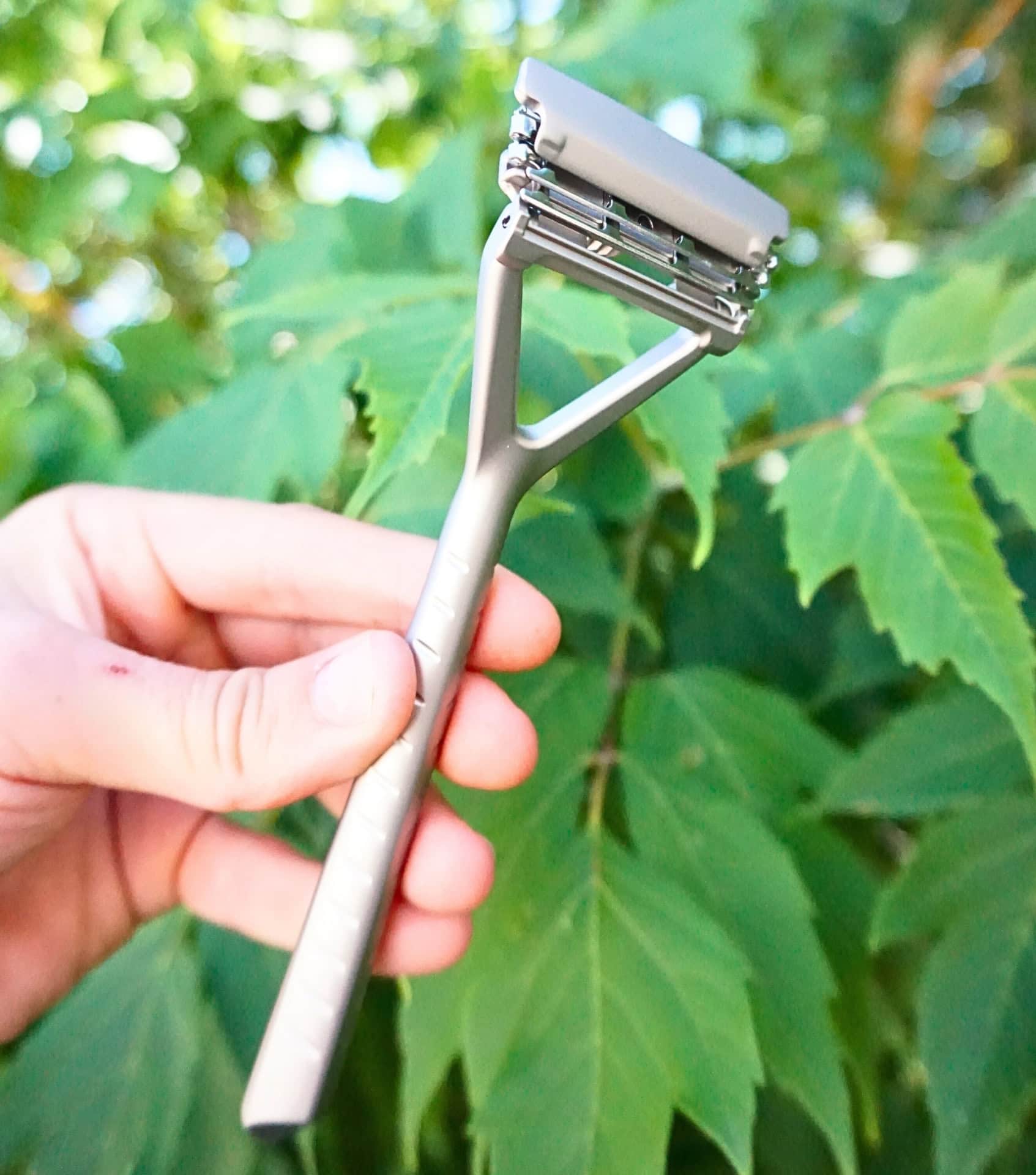 Image by Sustainable Jungle (Leaf Shave) (sustainable-stocking-stuffers)