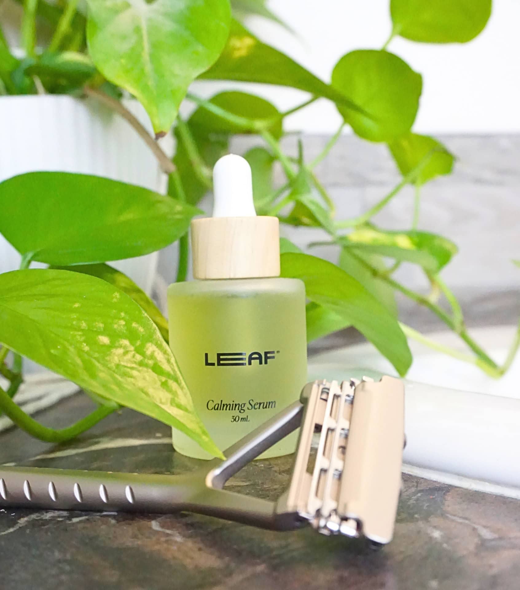 Image by Sustainable Jungle (Leaf) (minimalist-gifts-for-him)