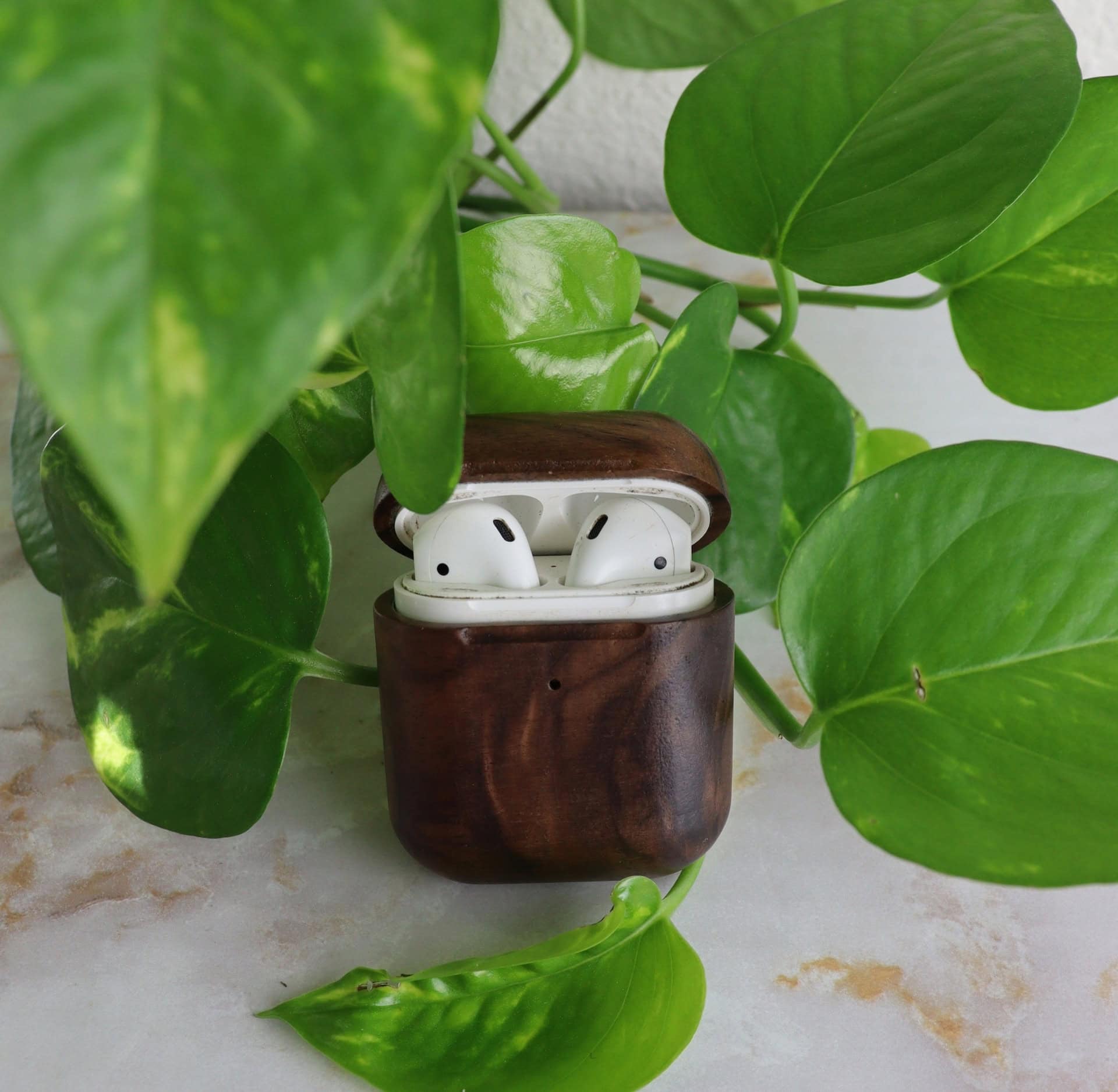 Image by Sustainable Jungle (Oaky Wood) (sustainable-gifts-for-him)