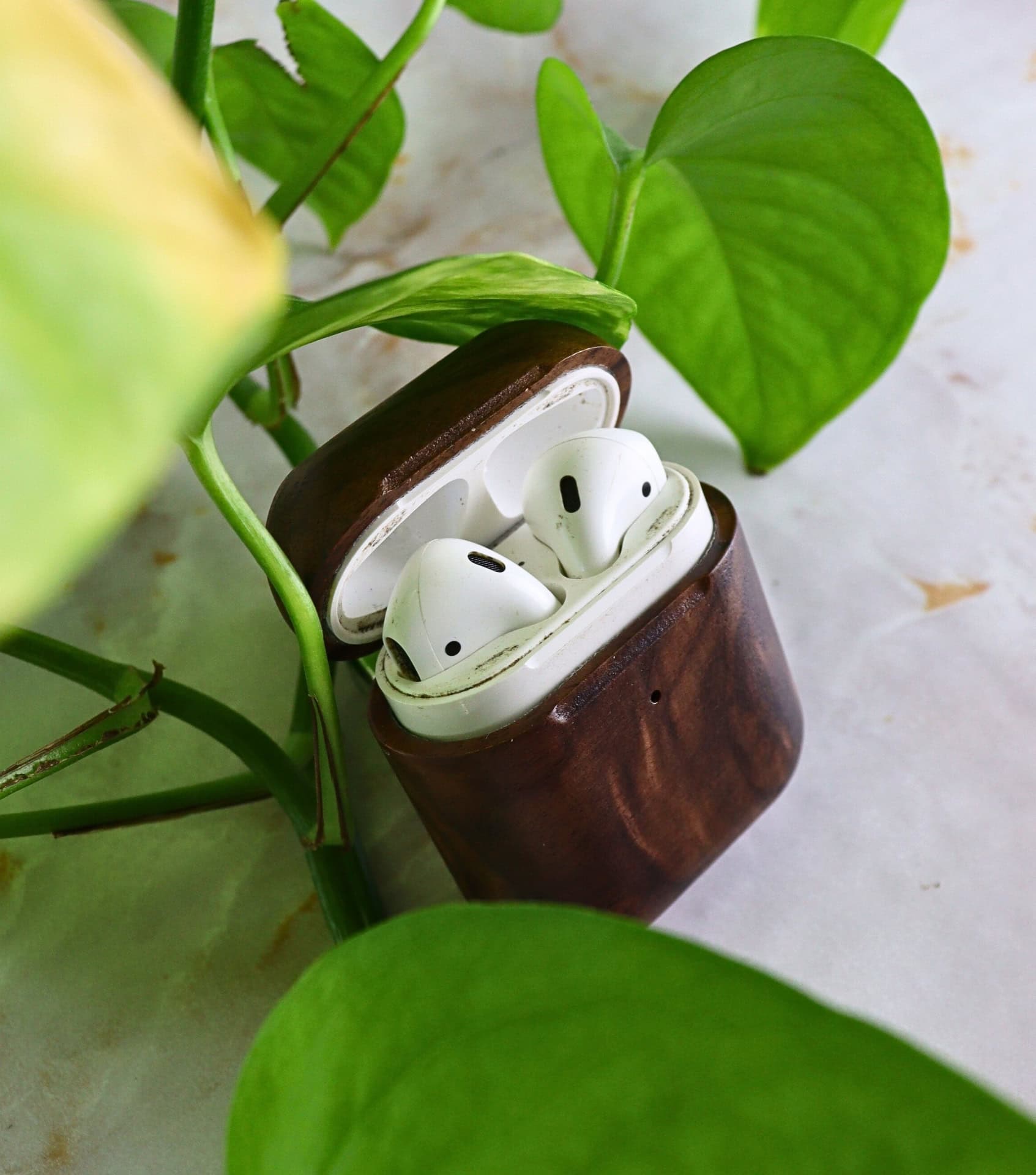 Image by Sustainable Jungle (Oakywood) (sustainable-stocking-stuffers)