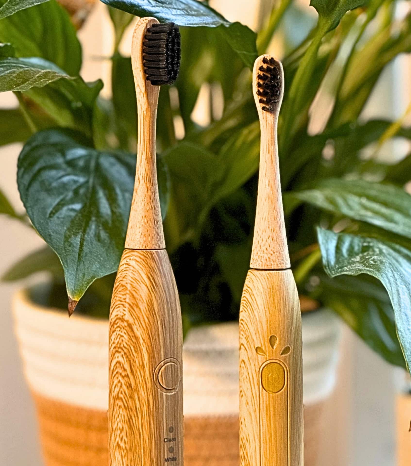 Image by Sustainable Jungle (Sustainable Tomorrow) (gifts-for-minimalists)