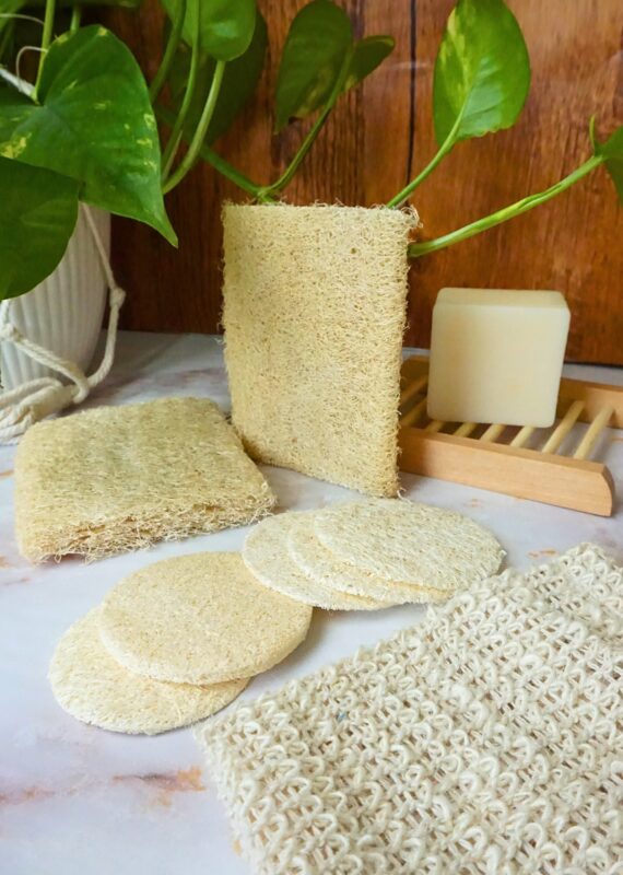 Image by Sustainable Jungle (Zerowastestore.com) (zero-waste-stores-los-angeles)